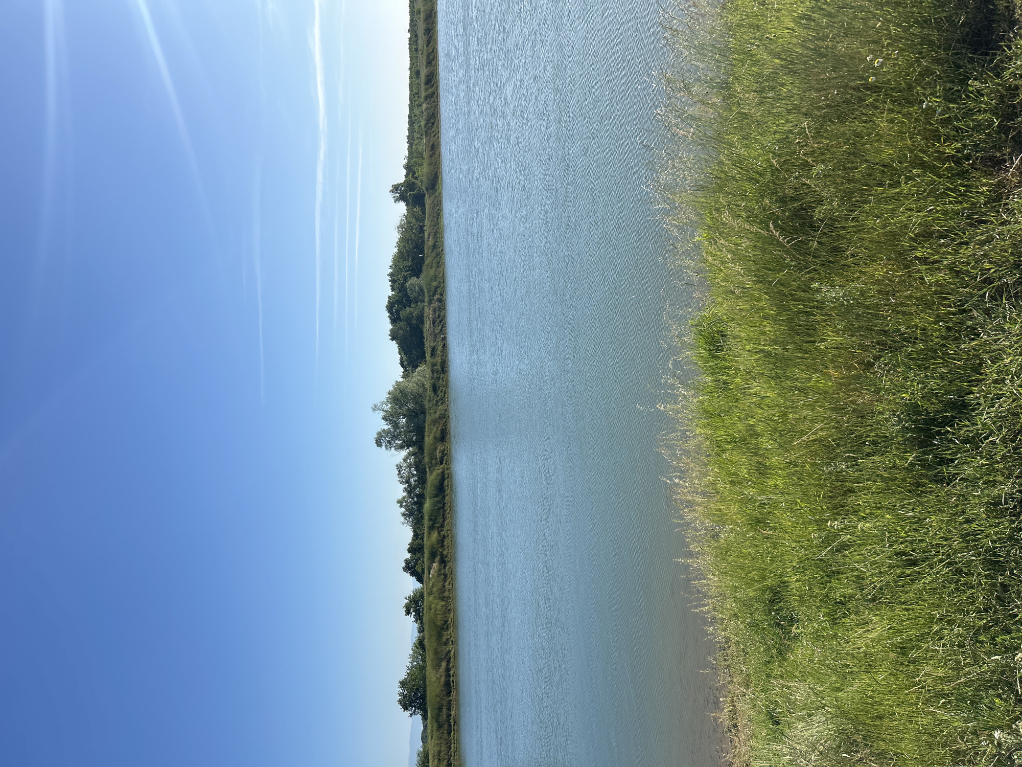 A landscape photograph depicts a calm body of water, potentially a lake or wide river, bordered by green vegetation on the right side of the frame. Trees are visible on the opposite bank. The sky, ranging from a deep blue to a lighter shade, occupies the left portion of the image. No people or animals are visible in the scene. The location is Unknown, Unknown.