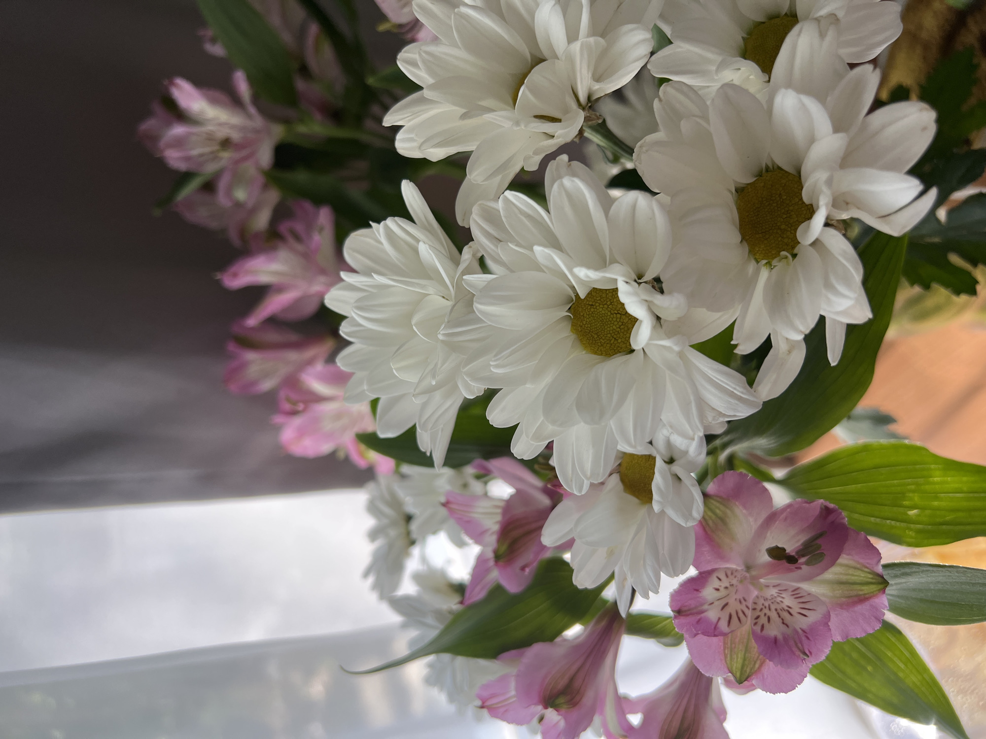 A close-up, eye-level shot of a bouquet of flowers, predominantly white daisies with yellow centers and pink alstroemerias, is captured against a diffused, slightly out-of-focus background. The flowers are arranged in a cluster, with the white daisies filling the foreground and midground. The pink alstroemerias are visible behind and to the sides of the white daisies, interspersed with green leaves. The lighting suggests a soft, natural light source coming from the left, creating subtle shadows and highlighting the delicate textures of the petals. The overall impression is one of natural beauty and a gentle, serene atmosphere. The image does not contain any identifiable landmarks or environmental cues that would allow for precise location identification within Paratunka, Russia.