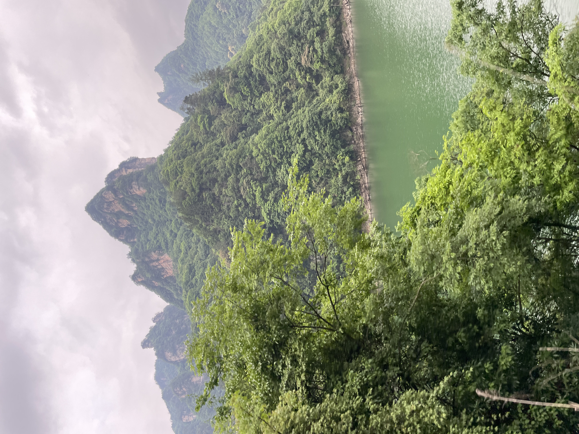 This image depicts a scenic view in Wulingyuan, China. A mountain range with steep cliffs is visible on the left, partially obscured by fog or mist. The mountains are covered in dense green vegetation. To the right, a body of green water (likely a lake or river) is framed by lush green trees in the foreground. The sky is overcast.