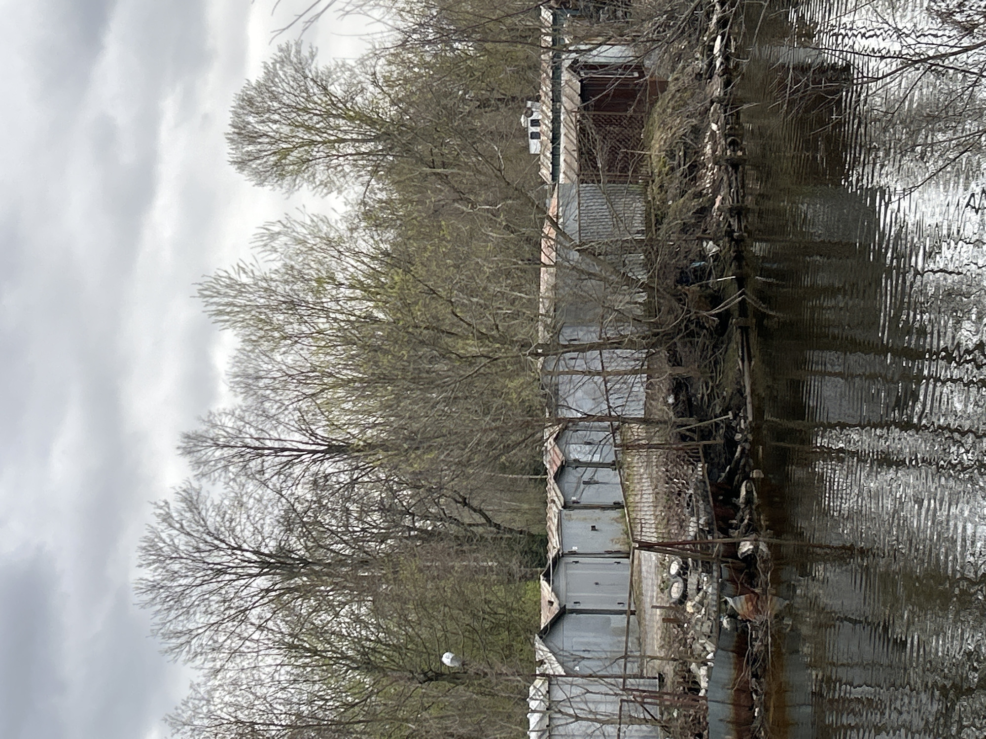 The image presents a waterside scene in an urban or industrial area, consistent with the context of Saint Petersburg, Russia. The photograph is taken from one side of a body of water, looking across to the opposite bank on an overcast day.
On the far bank, a long row of utilitarian structures, resembling garages or storage units, lines the edge. These buildings are predominantly gray, featuring corrugated metal roofs, and many show signs of weathering and rust. Behind and interspersed among these structures are numerous deciduous trees. The trees are mostly bare, with some showing very early signs of budding, suggesting the season is late winter or early spring. Their intricate branches are silhouetted against the sky.
The sky overhead is uniformly gray and cloudy, indicating an overcast or dreary day. The body of water, occupying the right side of the frame, is rippled. These ripples distort the reflections of the cloudy sky and the structures and trees on the opposite bank. Along the water's edge near the garages, there is visible debris, including what appears to be old tires and various refuse.
No people or specific activities are depicted in the scene. The overall impression is one of quiet, urban decay or an undeveloped industrial waterfront. There is no visible text in the image.