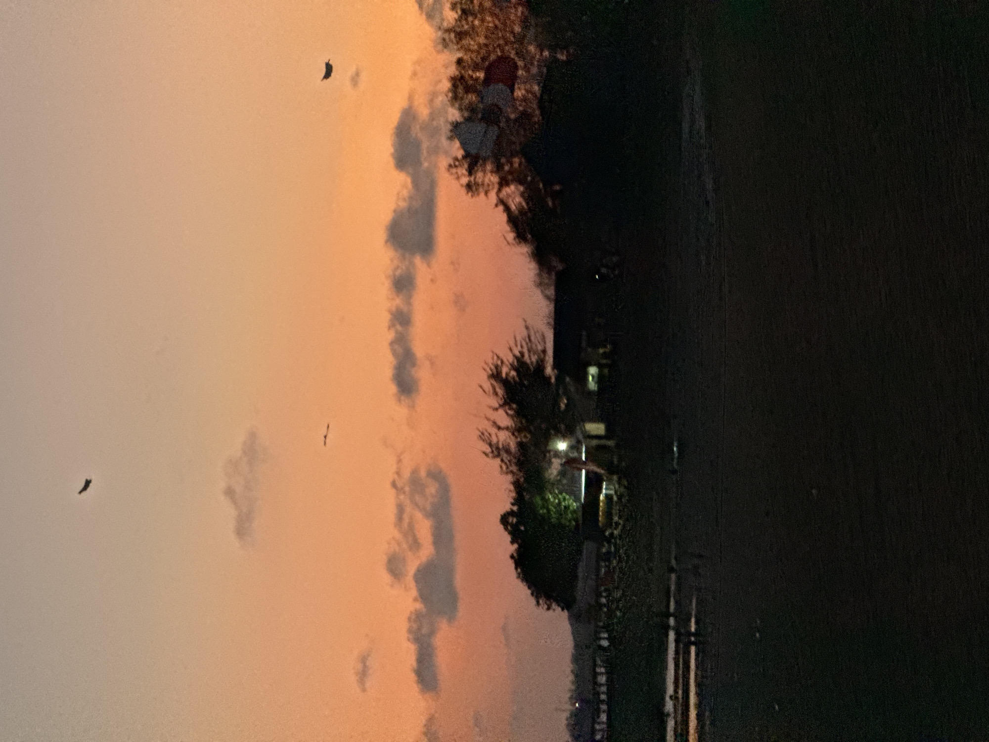 The image depicts a dusky sky with hues of orange and pink, suggesting either sunrise or sunset. Several small, dark shapes are visible in the sky, possibly birds or kites. The horizon is lined with a silhouette of trees and buildings, some of which are illuminated by artificial lights. In the foreground, the ground is dark and appears to be a beach or open area. A body of water is partially visible on the left. The overall atmosphere is serene and quiet. The location is stated to be in the city of Denpasar, Indonesia, but no specific landmarks are identifiable in the image to confirm this. There are no clear indications of people or specific actions.