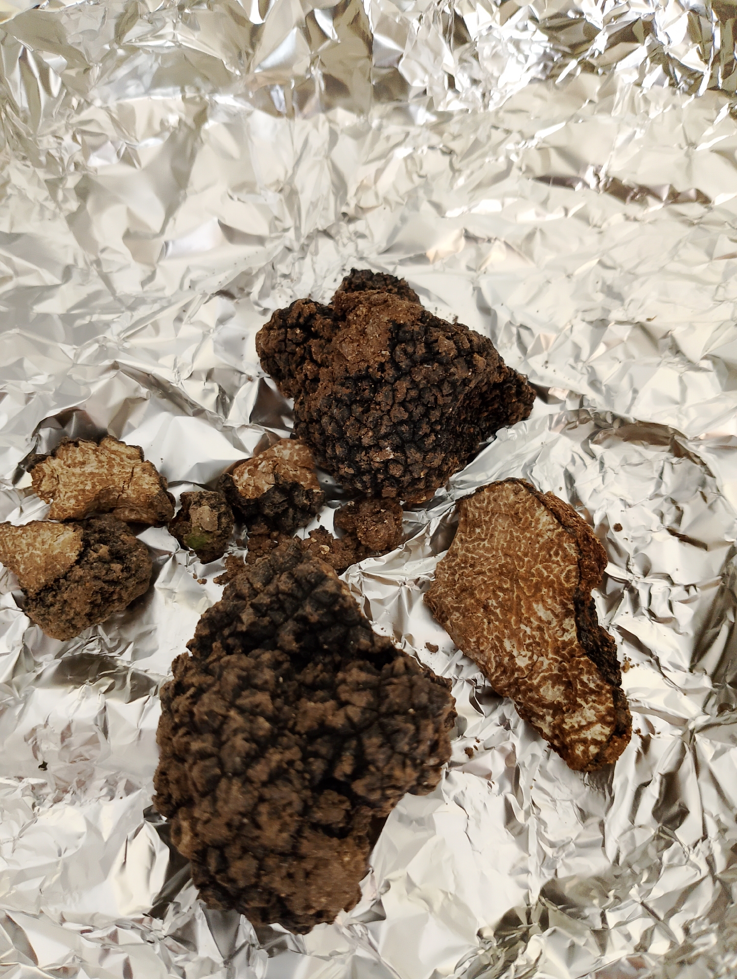 A collection of dark brown truffles, some whole and some cut open, are scattered across a crumpled sheet of aluminum foil. One truffle, sliced lengthwise, reveals a lighter brown interior with a marbling pattern. The truffles are of varying sizes and shapes, with rough, textured exteriors. The background is a highly reflective, crinkled silver surface.