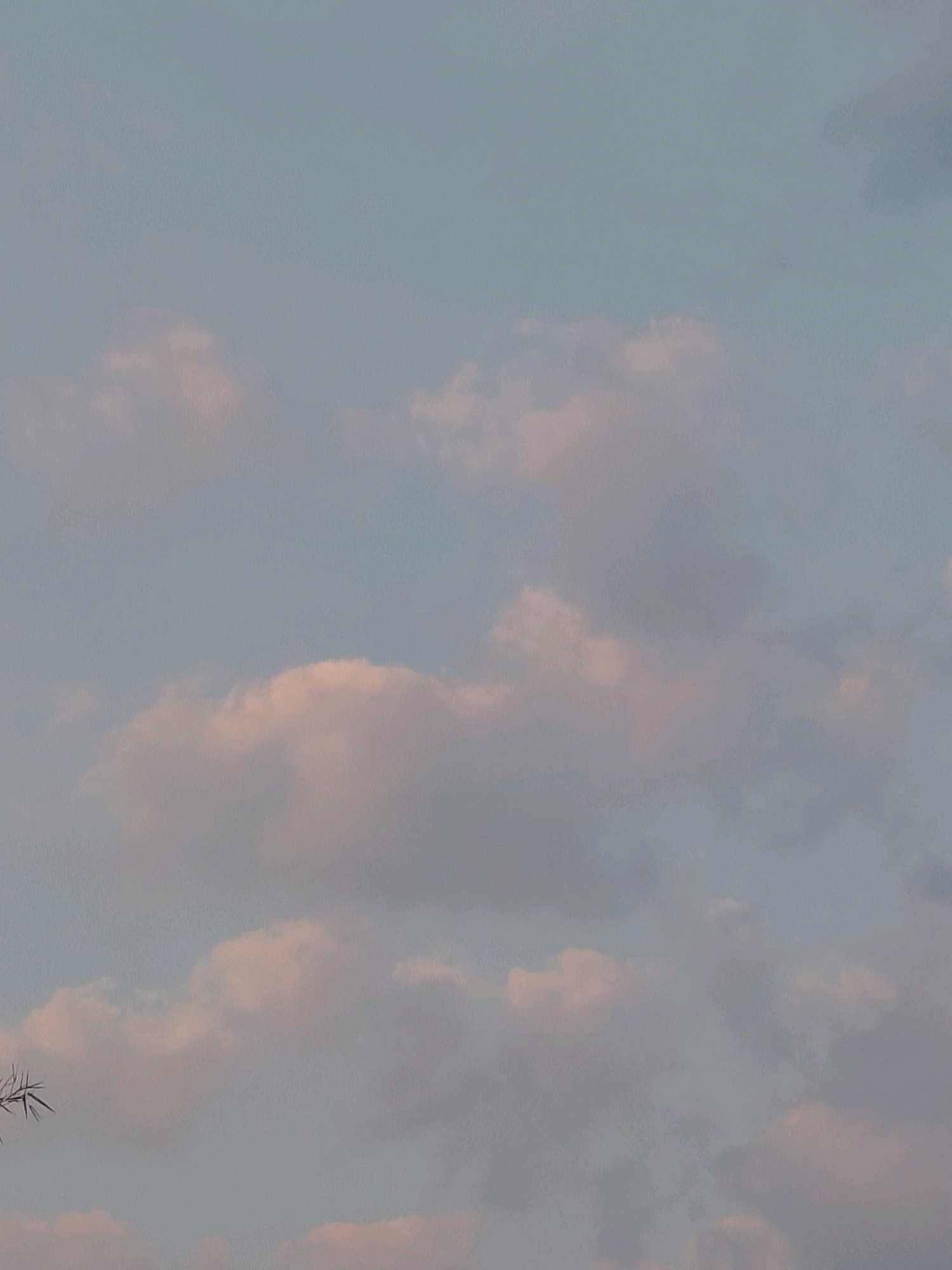 The image displays a hazy sky with scattered clouds that are tinged with pink and white hues. A few dark, thin branches are visible in the lower left corner of the frame, suggesting the presence of a tree. The overall lighting indicates either early morning or late evening. The scene is devoid of any human presence or identifiable structures, making it impossible to determine a specific location within Bangkok, Indonesia, or any other city. The image is a close-up of the sky, offering no context for its geographic origin.