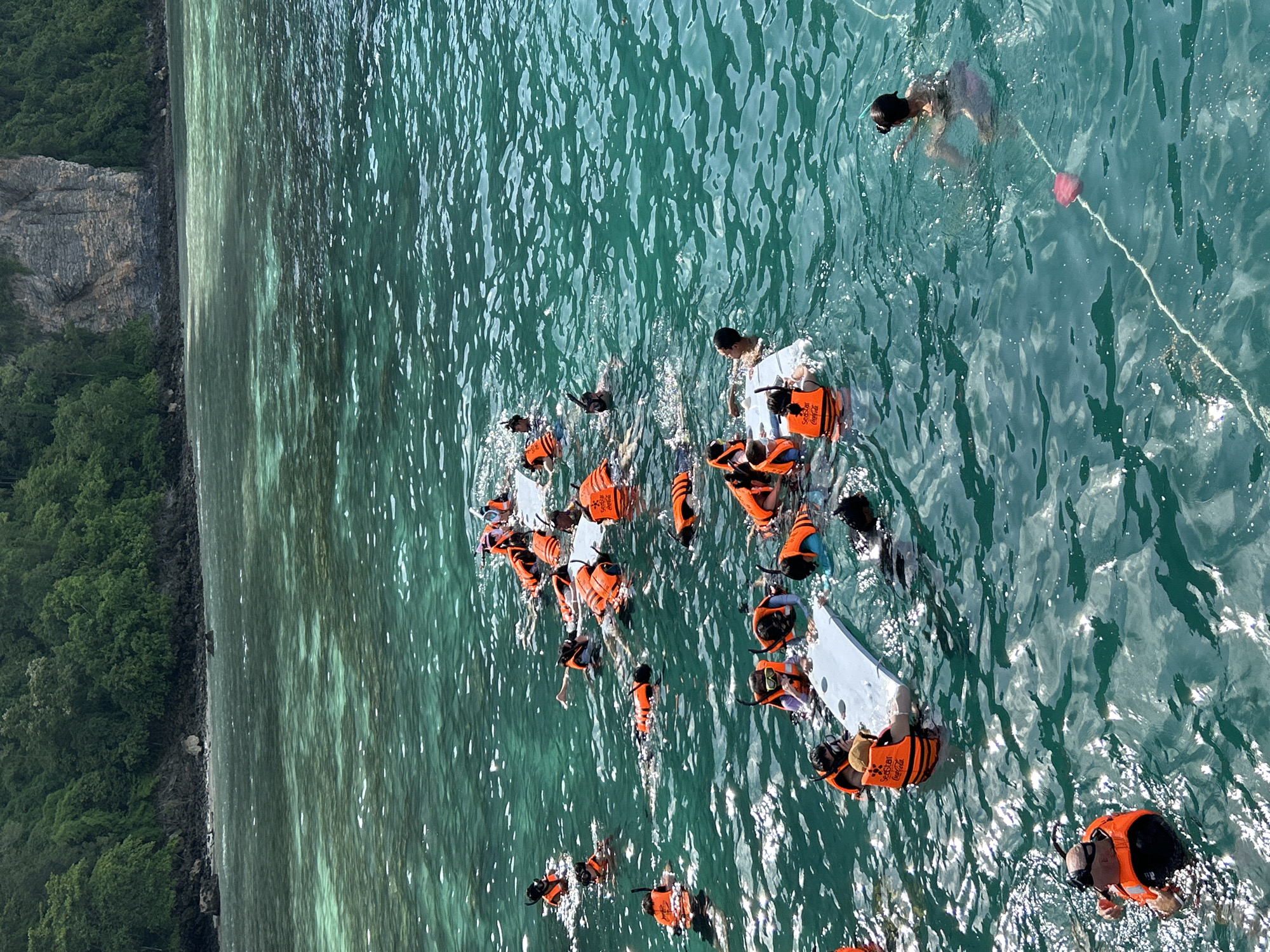 A group of people are snorkeling in clear, turquoise water near a rocky, tree-covered coastline. Many of the individuals are wearing orange life vests and snorkeling gear, including masks and snorkels. Some are floating on white rectangular floatation devices, while others are swimming or treading water. The water is calm with gentle ripples, and sunlight reflects off the surface. In the background, a lush green cliff face rises from the water, densely covered with trees. The scene appears to be a popular tourist spot for water activities. The location is likely Maya Bay, Ko Phi Phi Le, Krabi province, Thailand, known for its stunning natural beauty and snorkeling opportunities.