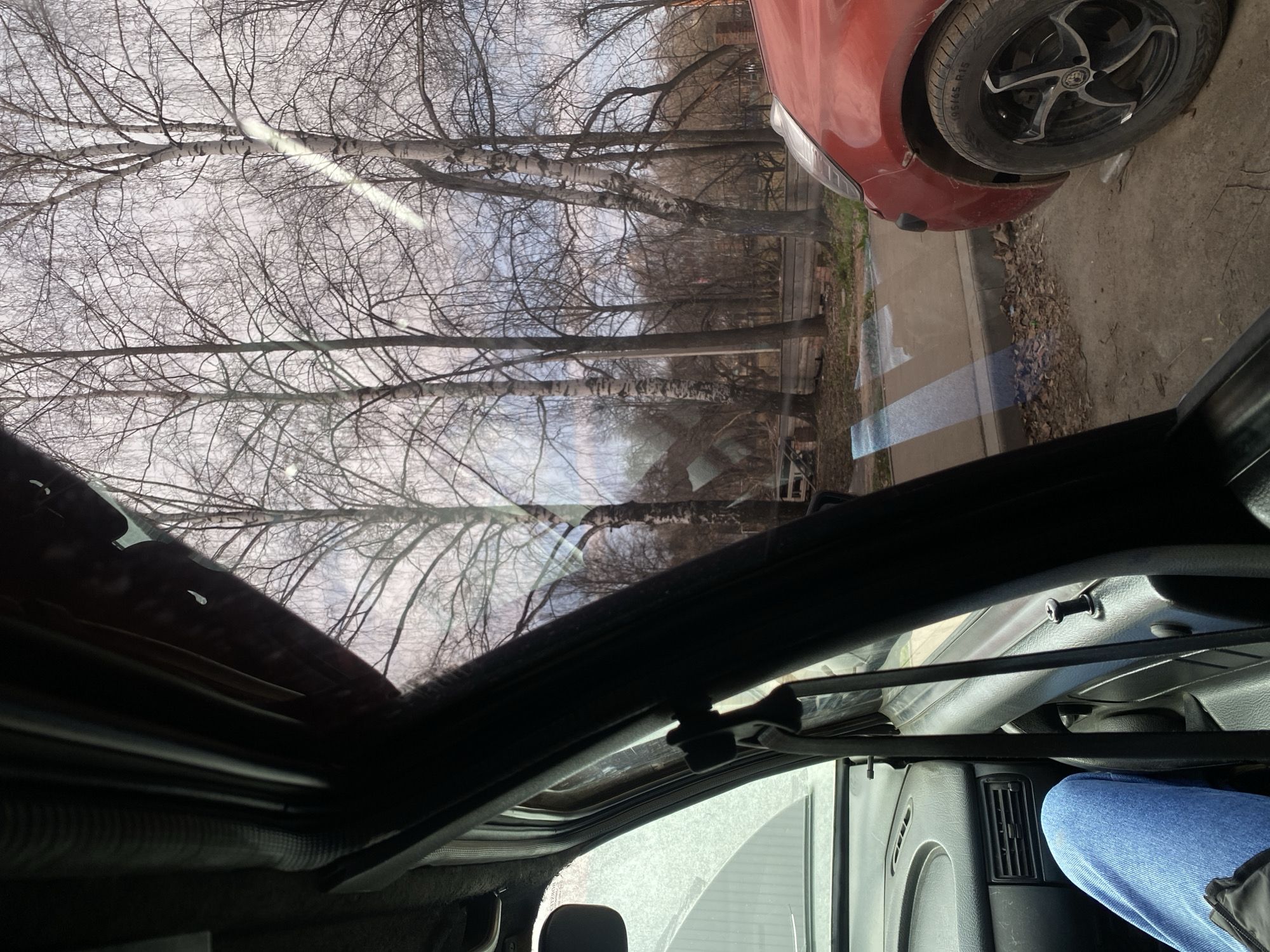 The image is taken from inside a car with an open sunroof, looking upwards and partially outwards. Outside, there's a row of bare trees, likely birches given their white bark with dark markings, suggesting it might be late autumn or winter. A portion of a red car is visible in the upper right corner, partially obscuring the view. The environment appears to be an urban setting, possibly residential, with a sidewalk and other buildings visible through the trees. The view appears to align with an image taken in Votkinsk, Russia.