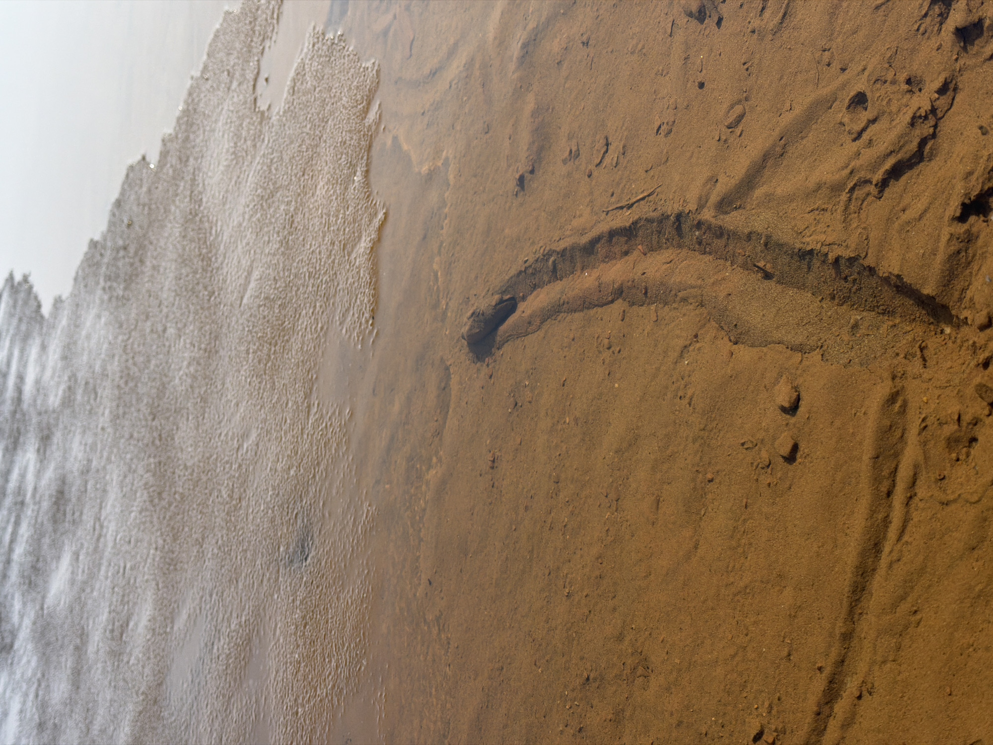 The image depicts a shallow, sandy riverbed partially submerged in water. The water's edge is on the left, fading from a light, frothy texture into clear water. The sandy bottom is visible through the water, revealing patterns and ripples in the sand, with darker streaks suggesting deeper channels or depressions. A few small stones are scattered across the sandy surface. The location is likely near a river or stream in the vicinity of Noviy, Russia.