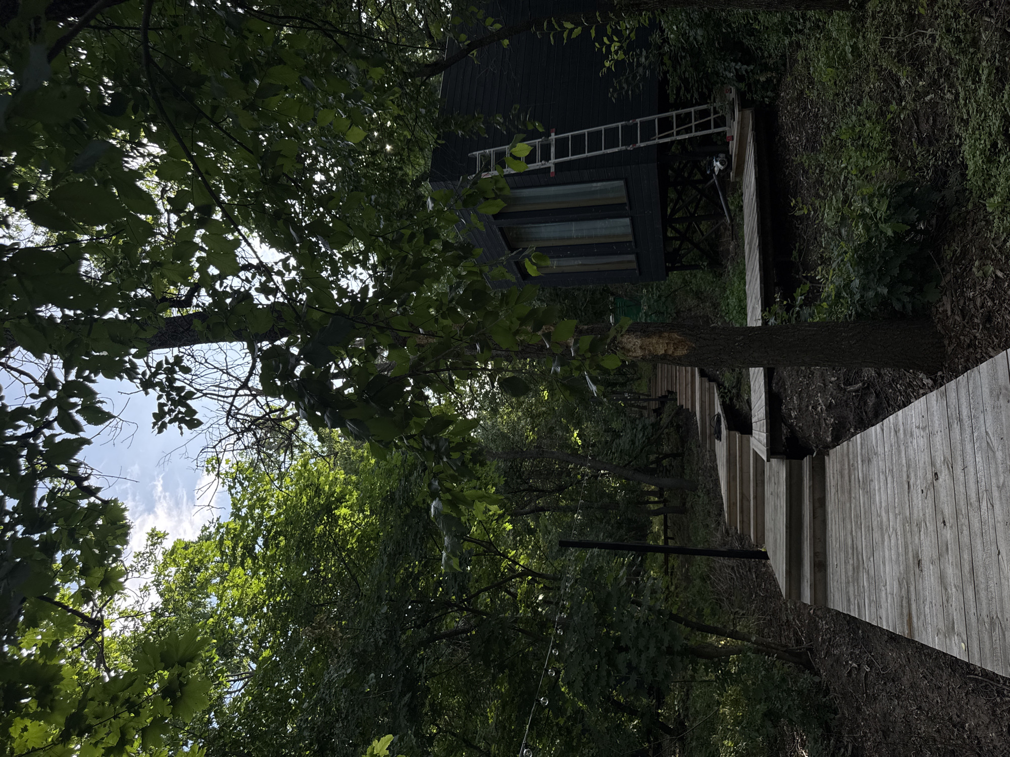The image depicts a wooden walkway leading towards a dark, modern structure situated amongst lush green trees. The walkway, made of weathered wooden planks, runs diagonally across the right side of the frame, disappearing into the dense foliage. Above and to the left, a dark, angular building with large horizontal windows is visible, partially obscured by the overhanging branches of trees. A silver ladder is propped against the side of the building, suggesting recent construction or maintenance. The surrounding environment is characterized by dense trees and undergrowth, indicating a natural, possibly wooded, setting. The sky, visible through the leaves in the upper left quadrant, is a bright blue with scattered white clouds, suggesting a clear, sunny day. The lighting indicates it is daytime, likely mid-morning or afternoon, with sunlight filtering through the leaves, creating dappled patterns of light and shadow. The overall impression is one of a secluded, modern dwelling integrated into a natural landscape. No people are visible in the image. There is no visible text.