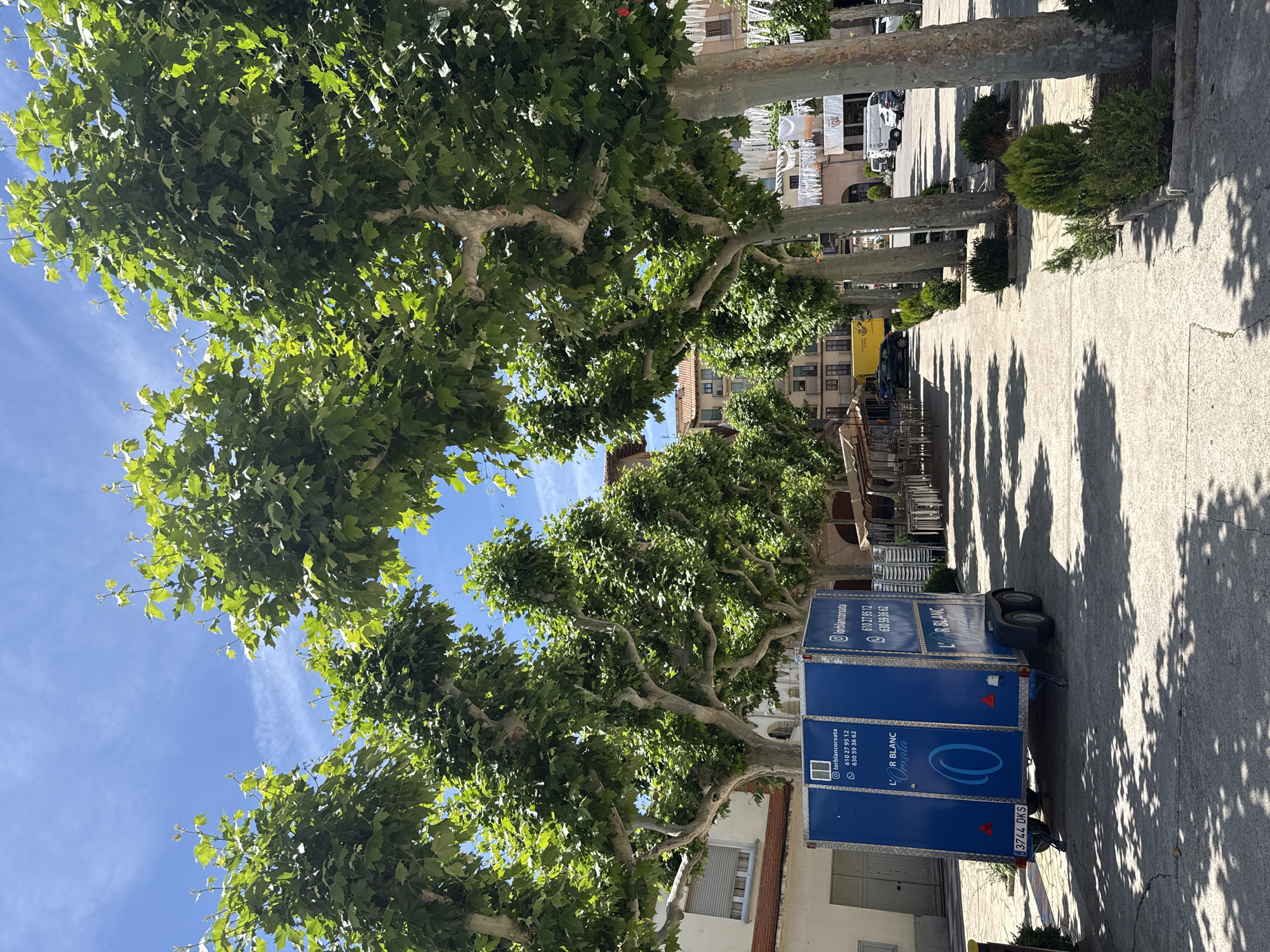 The image depicts a sunny day in what appears to be a town square in Cardona, Spain, with a prominent row of large trees lining a paved walkway. In the foreground, a blue trailer with the branding "L'R BLANC" and a license plate reading "3744 DKS" is parked on the left side of the walkway. The trailer has contact information printed on its side, including phone numbers and an Instagram handle. To the right of the walkway, there are outdoor seating arrangements, suggesting a cafe or restaurant. Beyond the seating, more trees and buildings are visible, some with terracotta roofs. A yellow vehicle is parked further down the walkway, and a white van and other vehicles are present in the background. The sky is blue with scattered white clouds. The overall scene conveys a quiet, perhaps early morning or midday, atmosphere in a public space.