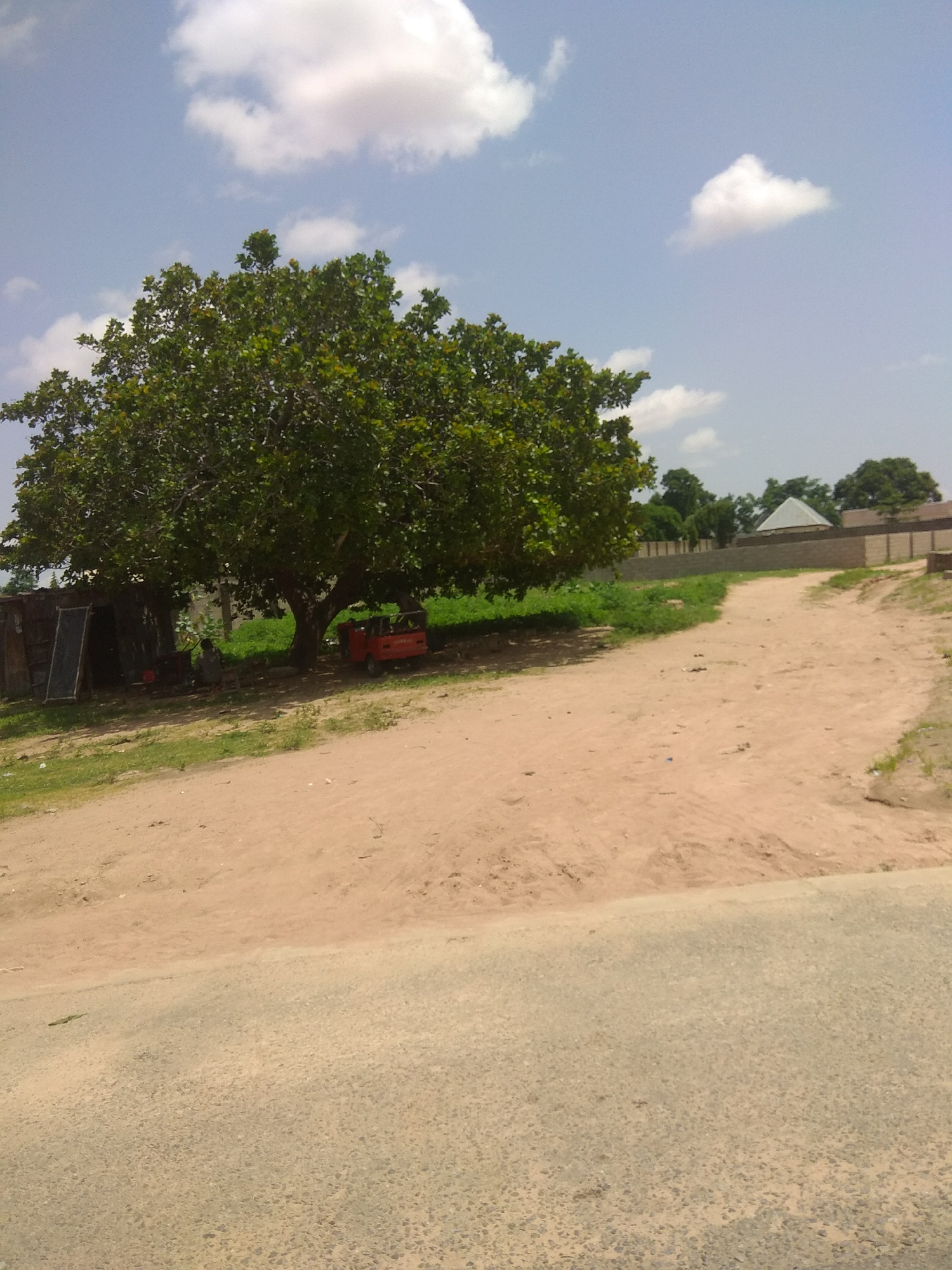 The image depicts a scene in Jalingo, Nigeria. A large, leafy tree dominates the left side of the frame, casting a shadow over a small, rustic shelter. A red, three-wheeled vehicle, possibly a tuk-tuk or auto-rickshaw, is parked near the shelter. A person is visible sitting in the shade of the tree, near the shelter.
The foreground features a dusty, unpaved road that curves to the right, leading away from the tree and shelter. Beyond the road, a grassy area is visible, bordered by a concrete wall. In the background, several buildings with pitched roofs can be seen, suggesting a residential or community area. The sky is blue with scattered white clouds, indicating fair weather. The lighting suggests it is daytime, likely late morning or early afternoon, given the shadows. The overall atmosphere is relaxed and typical of a rural or semi-urban setting in Nigeria. No visible text is present in the image.