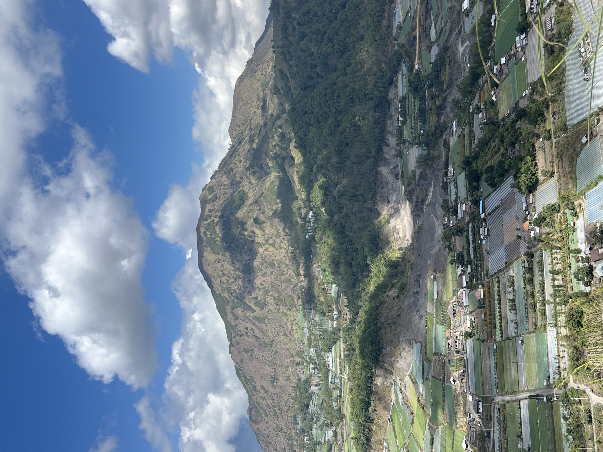 This is a daytime, high-angle, medium shot of the mountainous landscape of Kintamani, Indonesia. A vast, arid mountain dominates the upper half of the frame, its slopes textured with brown and green vegetation, carved by shadows and sunlight. Below the mountain, a lush, terraced landscape unfolds, characterized by numerous agricultural fields arranged in geometric patterns. These fields are diverse in appearance, with some covered in plastic sheeting, others showing lush green crops, and some appearing to be barren soil. Small clusters of houses and buildings are scattered throughout the agricultural areas, interspersed with trees and dense green foliage. The sky above is a vibrant blue, punctuated by dramatic, white cumulus clouds. The overall scene depicts a rural, agricultural community nestled within a dramatic mountain environment.