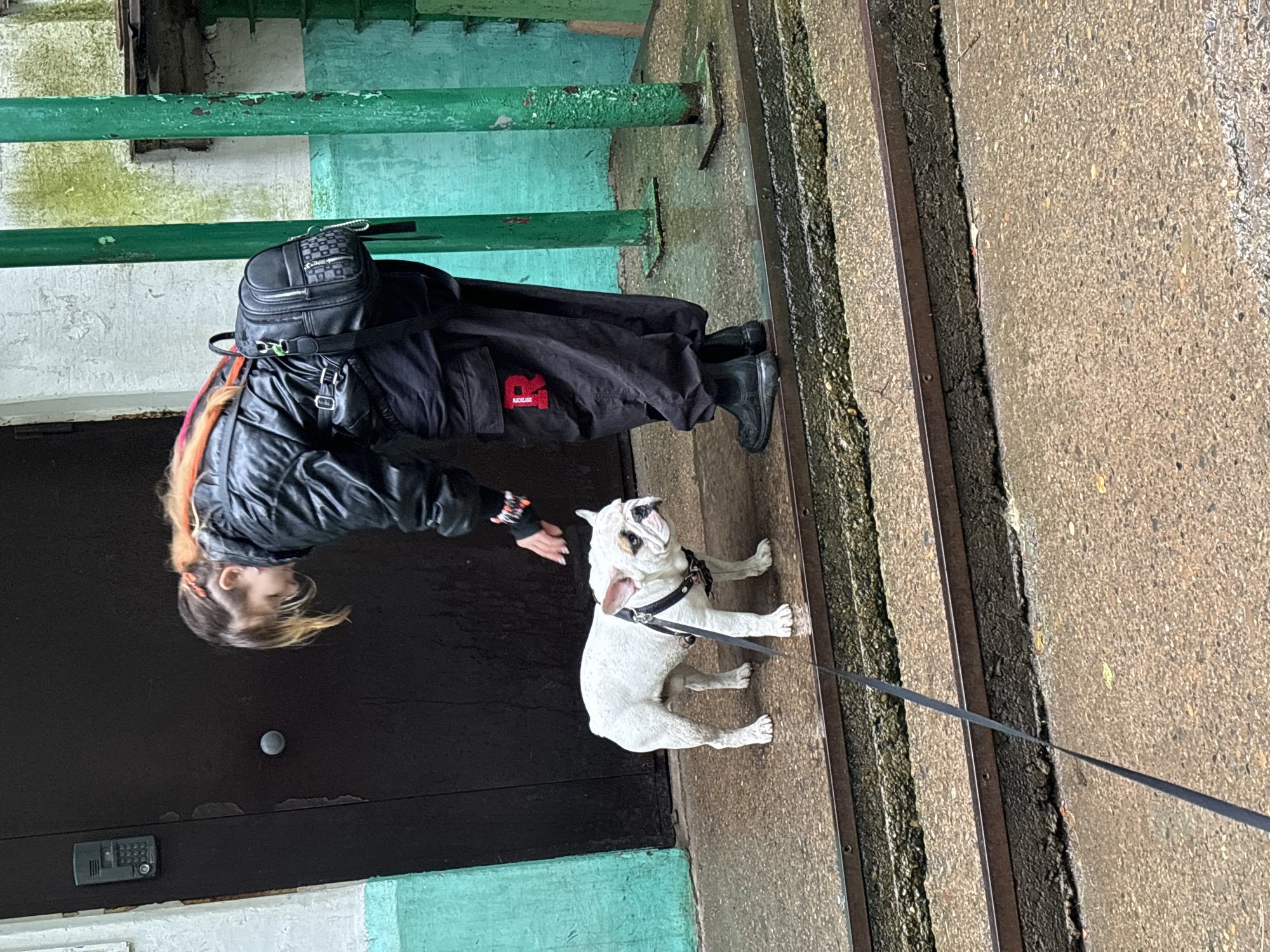 A young woman with pink and orange streaks in her hair is bending down to pet a white French bulldog on a wet, concrete staircase outside a building. The woman is wearing a black puffer jacket, black pants with a red 'R' logo, and black boots. She has a black backpack slung over her shoulder. The dog is wearing a black harness and is attached to a leash. The environment appears to be an urban setting, possibly an apartment building entrance, with peeling teal and white paint on the walls and rusty green metal posts. The ground is wet, indicating recent rain. The image is taken at ground level, looking slightly up at the woman and dog. The location is identified as Chaikovsky, Russia.