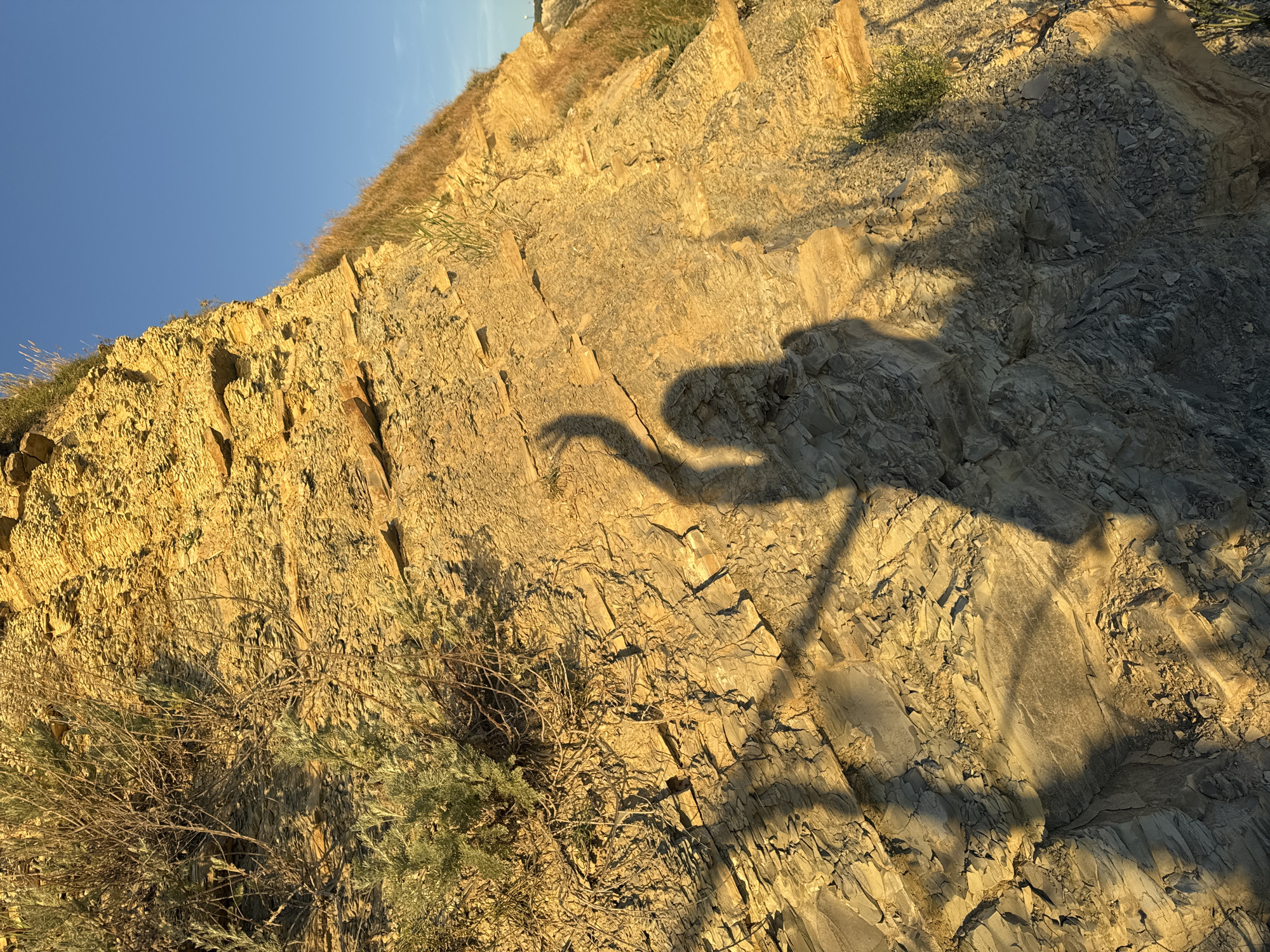 The image depicts a sunlit cliff face with stratified rock layers and sparse vegetation. A shadow of a person with one arm raised is cast prominently on the rock. The cliff is a mix of yellow and grey rock, with dry grass and small green plants growing from crevices. The sky above is a clear blue. This scene is located in the vicinity of Varvarovka, Russia.