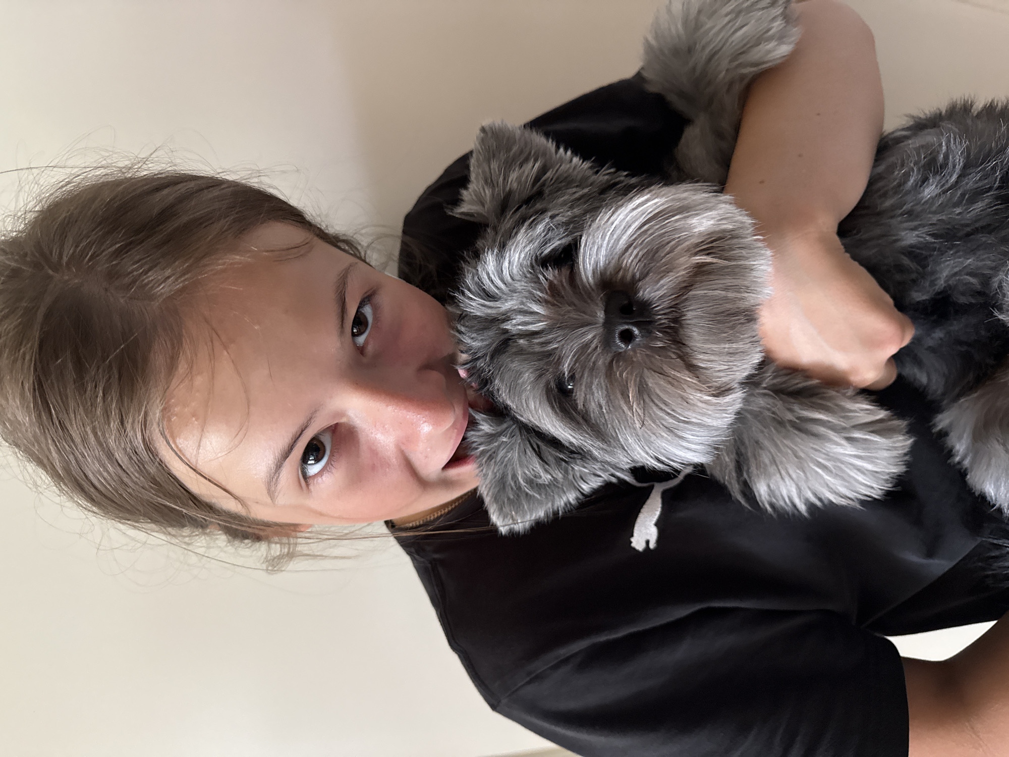 A young person with brown hair pulled back is holding a small, grey Schnauzer puppy. The person is wearing a black t-shirt with a white logo. The puppy is nestled in the person's arms, and the person is leaning in towards the puppy, with their mouth close to the puppy's face. The background is a plain, light-colored wall. This image does not provide any information about the location in the city of Chaikovsky, Russia.