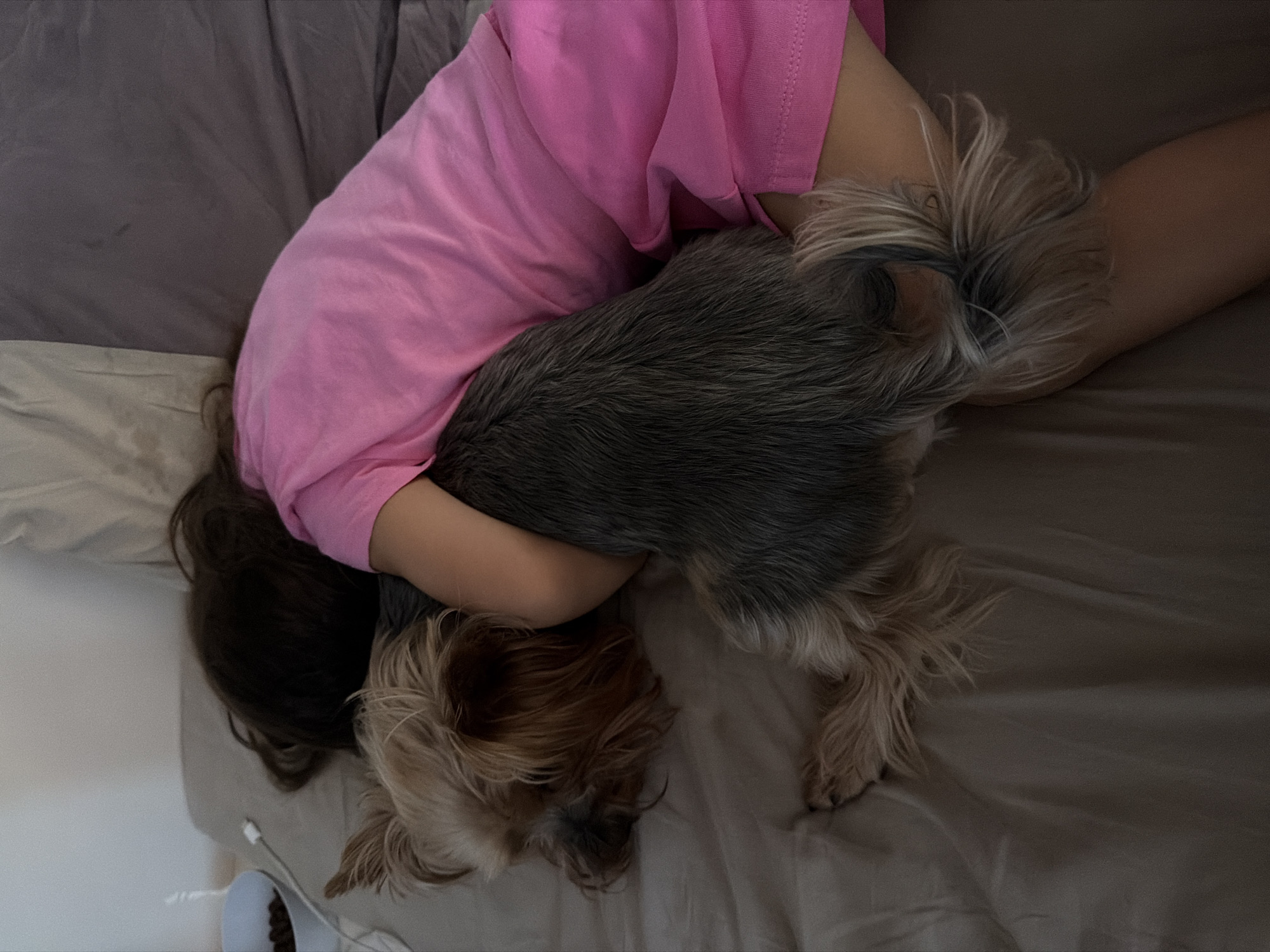 A young child with long, dark hair is sleeping soundly, embracing a Yorkshire Terrier dog. The child is wearing a bright pink t-shirt and appears to be lying on a bed with grey bedding. The dog, with its characteristic tan and grey fur, is curled up close to the child, its head resting near the child's arm. The overall scene depicts a moment of peaceful rest and affection between the child and their pet. This image was captured in Burgas, Bulgaria.