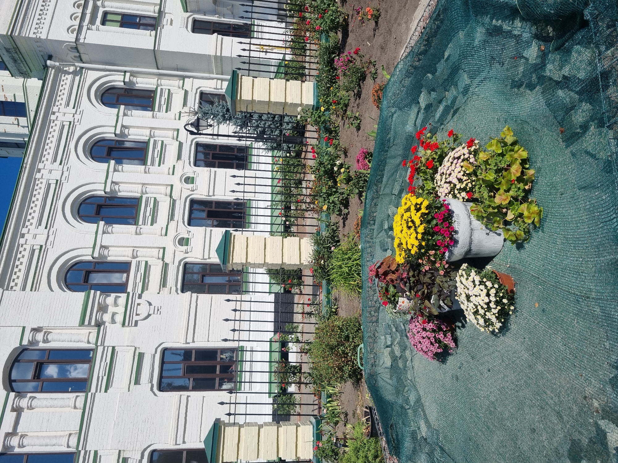 The image shows a cluster of potted flowers in front of a white, neoclassical building. The building features arched windows with dark frames and decorative columns. A black metal fence separates the building from the foreground, where the flowers are arranged on a green net. The flowers include yellow chrysanthemums, pink asters, white chrysanthemums, and red geraniums, among others. The scene is bathed in sunlight, casting shadows. The building's architecture suggests it may be a historical or educational institution. Based on the architectural style and general appearance, this scene could be located in Kyiv, Ukraine, possibly on the grounds of a university or a similar institution, such as the Taras Shevchenko National University of Kyiv, which has several buildings with similar architectural features. There are no people visible in the image. The environment is an outdoor urban setting.