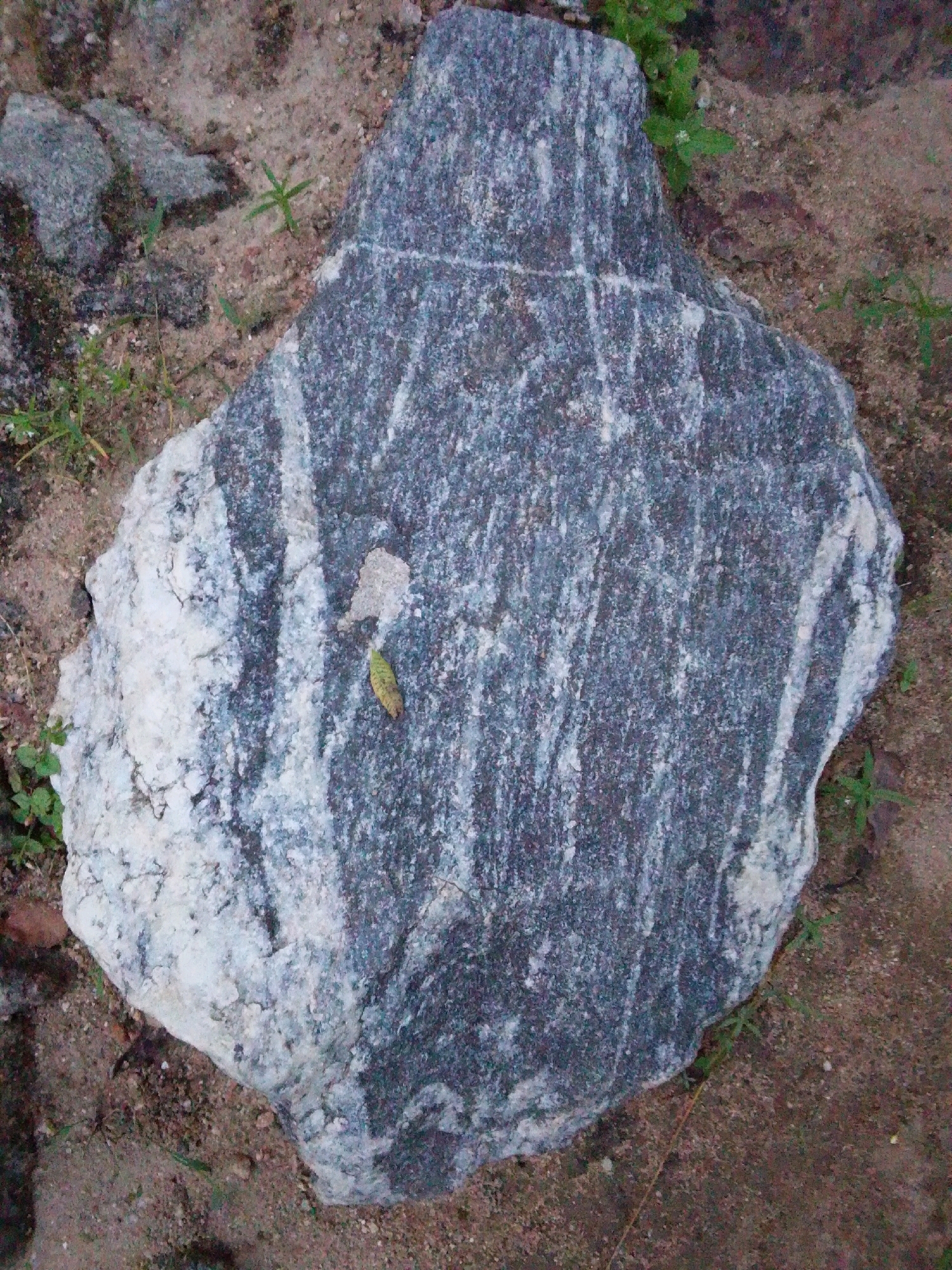 A close-up, overhead shot shows a large, irregularly shaped rock with a dark gray, coarse-grained surface marked by lighter gray and white striations. The rock is positioned on sandy, earthy ground interspersed with small green plants and scattered dry leaves. The scene appears to be an outdoor environment, potentially in the city of Serti, Nigeria, given the context provided. There are no people or discernible actions present in the image.