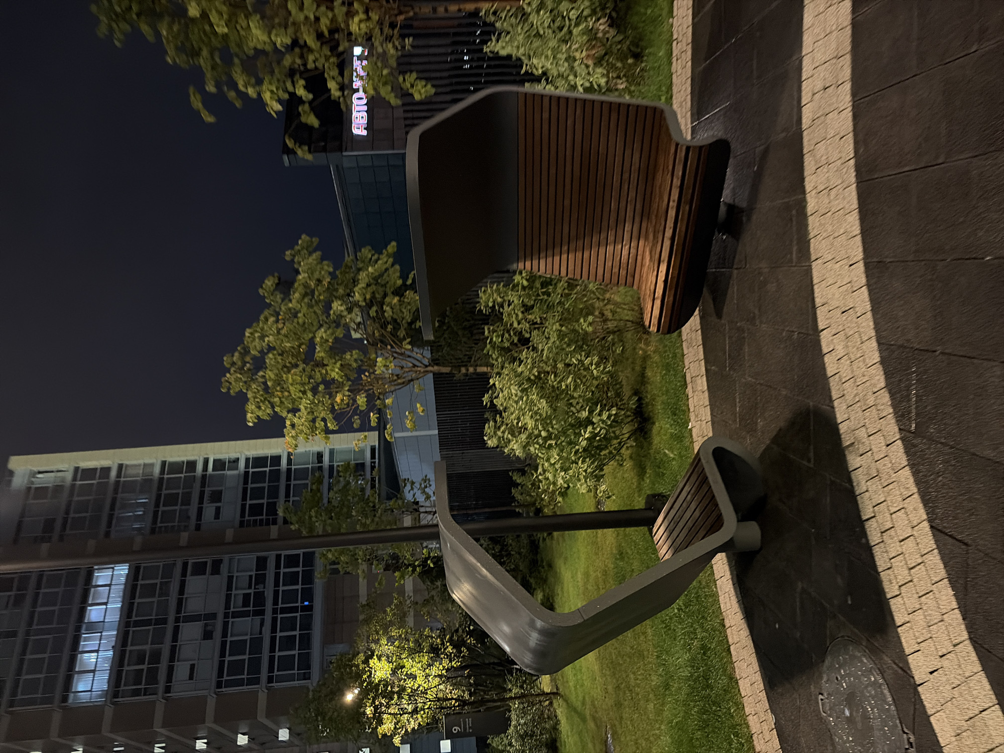 The image depicts a contemporary urban park area at night, located in Moscow, Russia. Two modern, curved benches with wooden slats are prominent in the foreground. One bench is light grey metal with a wooden seat, while the other is dark grey with a wooden seat and backrest, both featuring sleek, futuristic designs. The benches are situated on a paved pathway with a pattern of dark and light paving stones. Behind the benches, a well-maintained lawn is visible, interspersed with lush green bushes and trees. A tall, modern apartment building with numerous lit windows dominates the background to the left, its facade illuminated by interior lights. To the right, a darker building is partially visible, with a neon sign reading "АВТО" (AVTO) glowing in pink and blue letters. The overall atmosphere is serene and slightly illuminated by artificial light sources, including streetlights casting a warm glow on the vegetation. The scene appears to be an outdoor common area for residents of the nearby apartment complex. There are no people or animals present in the image.