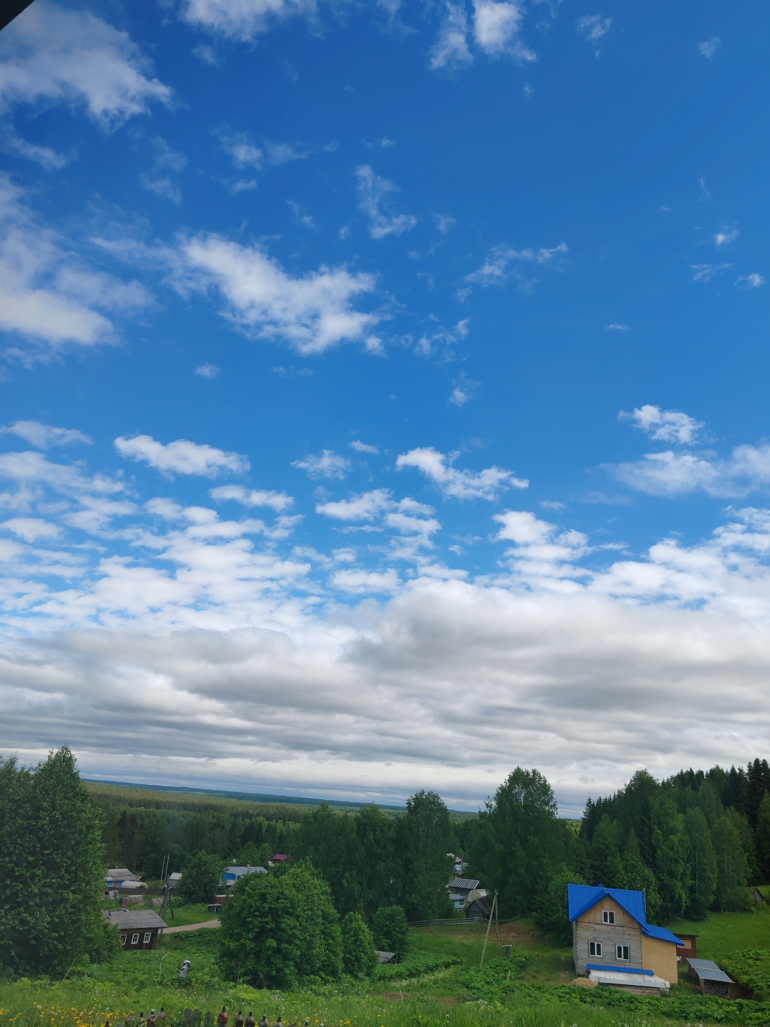This image presents a vibrant daytime panorama of a rural village and surrounding natural landscape in Чухлэм, Russia.
The sky is a prominent feature, showcasing a clear blue expanse at the top, dotted with scattered, wispy white clouds. This transitions downwards into a denser band of grey and white clouds closer to the horizon, creating a multi-layered sky.
The middle ground is dominated by a vast, lush green forest that stretches into the distance. Nestled within this greenery is a small settlement or village. Several houses are visible; one particularly stands out on the right with light-colored wooden walls, white-framed windows, and a striking bright blue metal roof. Other houses are more traditional, with darker, possibly wooden or shingled roofs, blending into the verdant surroundings. A dirt path or road winds through the village.
The foreground consists of a grassy hillside covered in green vegetation and scattered yellow wildflowers. Along the very bottom edge of the image, partially obscured, is a discernible row of small figurines or statues, possibly garden decorations.
The scene is illuminated by bright daylight, suggesting mid-morning to late afternoon. The mix of clear blue sky and denser cloud cover indicates variable weather conditions. No people or specific activities are visible, and there is no discernible text in the image. The overall impression is one of a tranquil, remote natural environment with scattered human habitation.