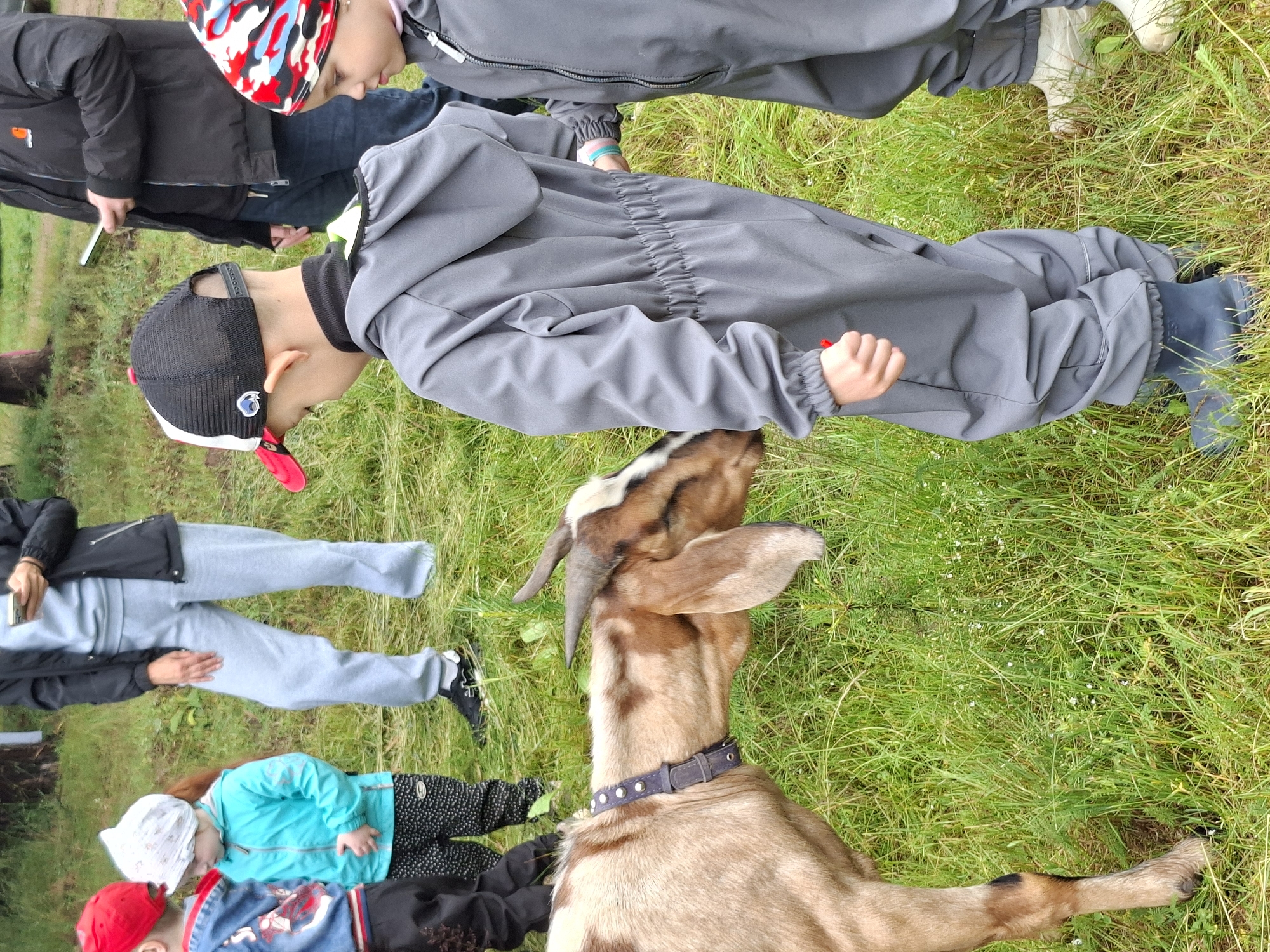 Two children, a boy and a girl, are interacting with a goat in a grassy outdoor area. The boy, wearing a grey jumpsuit, a black and red baseball cap, and dark blue rubber boots, is reaching towards the goat. The girl, wearing a blue jacket, black and white patterned pants, and a white headscarf, stands to the left of the boy. The goat, a brown and white animal with horns, has a dark collar and is leaning towards the boy. In the background, adults and other children are visible, some holding cell phones. The environment appears to be a park or field with lush green grass and some trees. The scene suggests a casual outdoor activity, possibly a petting zoo or farm visit. The location is identified as Votkinsk, Russia.