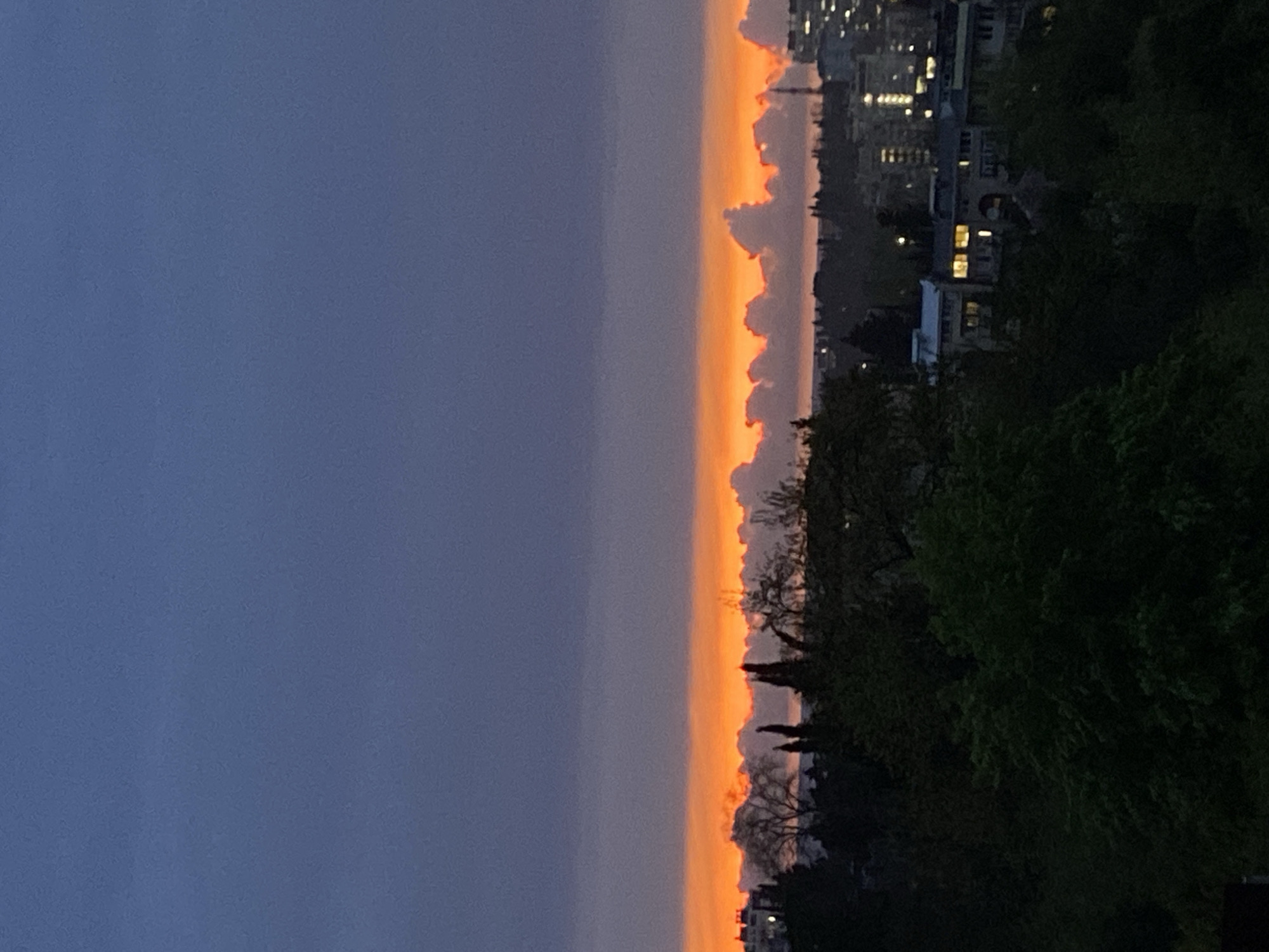 The image depicts a dusky cityscape likely in Sochi, Russia, given the distinctive architecture. On the right, dense foliage obscures much of the view, interspersed with illuminated buildings, indicative of residential areas. The horizon glows with an orange and white gradient, suggestive of either sunrise or sunset, with clouds accentuating this colorful division. The left side of the image displays a darker, muted blue sky. The overall scene is captured in a vertical orientation.