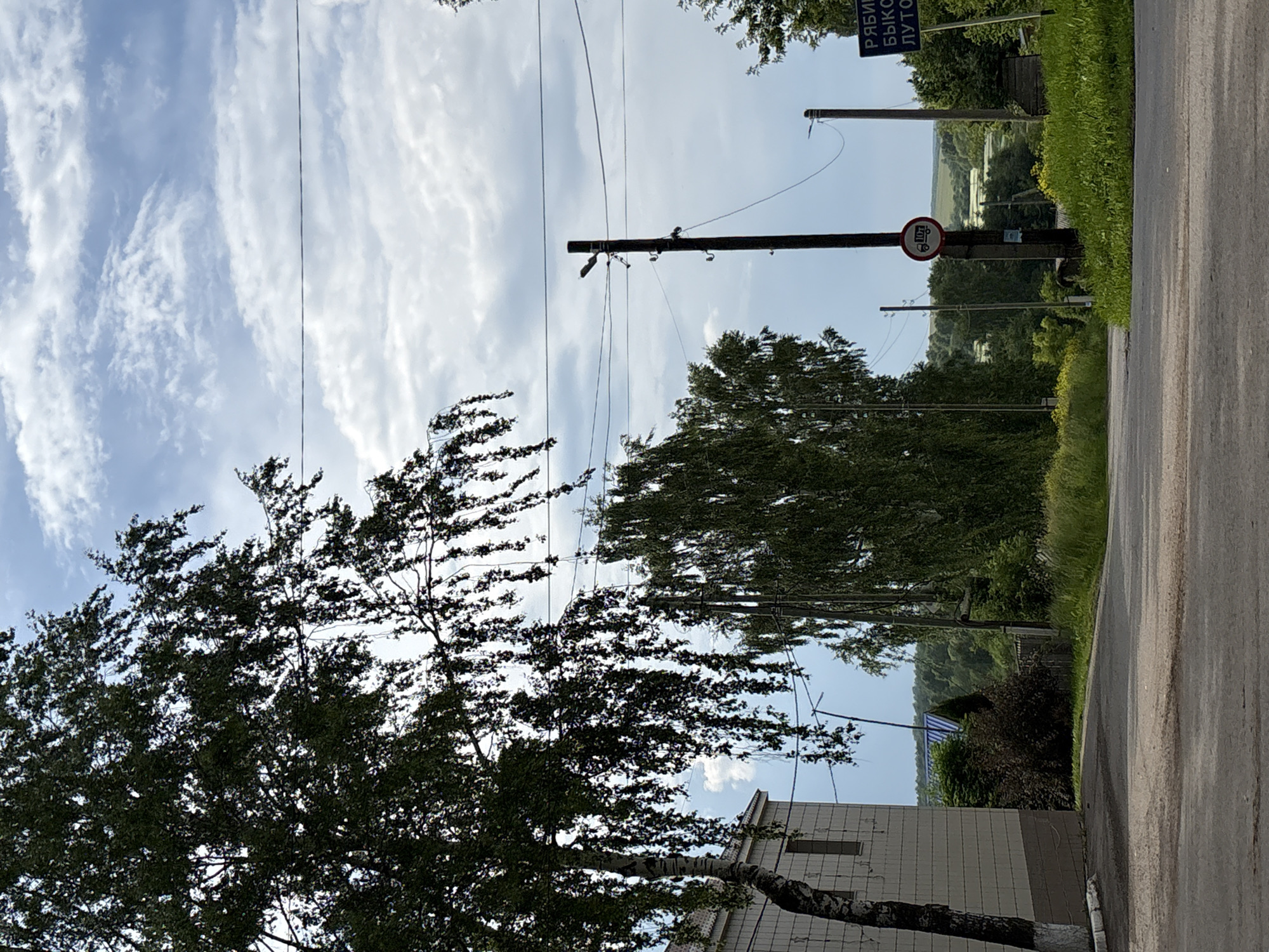 In the city of Kumyon, Russia, a paved road curves gently to the right. On the left, a building with a white tiled facade and a brown base is visible, with a tree with drooping branches in front of it. A utility pole with wires stands in the middle ground, marked with a circular red and white sign indicating a weight limit of 10 tons, and another smaller blue sign. A second, thinner utility pole is visible further in the distance. On the right, a blue sign with white Cyrillic text is partially obscured by trees. The background features a lush green landscape with trees and a hint of water, under a cloudy sky. The scene appears to be an outdoor, rural or semi-rural setting. No people or animals are clearly visible.