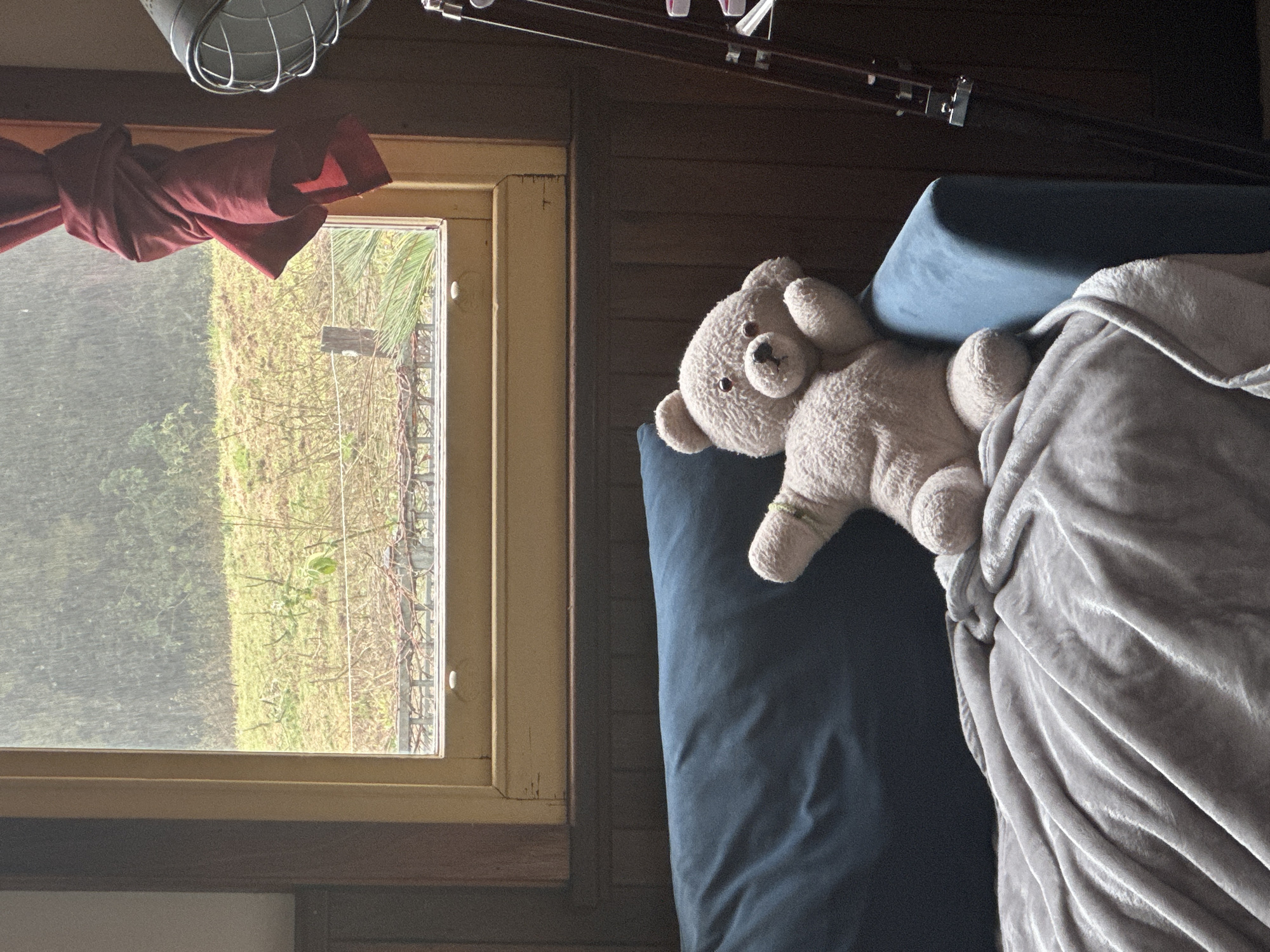 A light beige teddy bear rests on a plush, navy blue sofa, draped with a soft grey blanket. The teddy bear is positioned on its side, with its head propped up and one arm bent. Behind the sofa, a wooden-paneled wall meets a large window with a yellow frame. Through the window, a blurred, green landscape is visible under a grey, rainy sky. A red curtain is tied to the right side of the window frame, and a vintage-style lamp stands to the right of the window. The overall scene suggests a cozy, indoor setting on a wet day. The location is not specified in the image.
