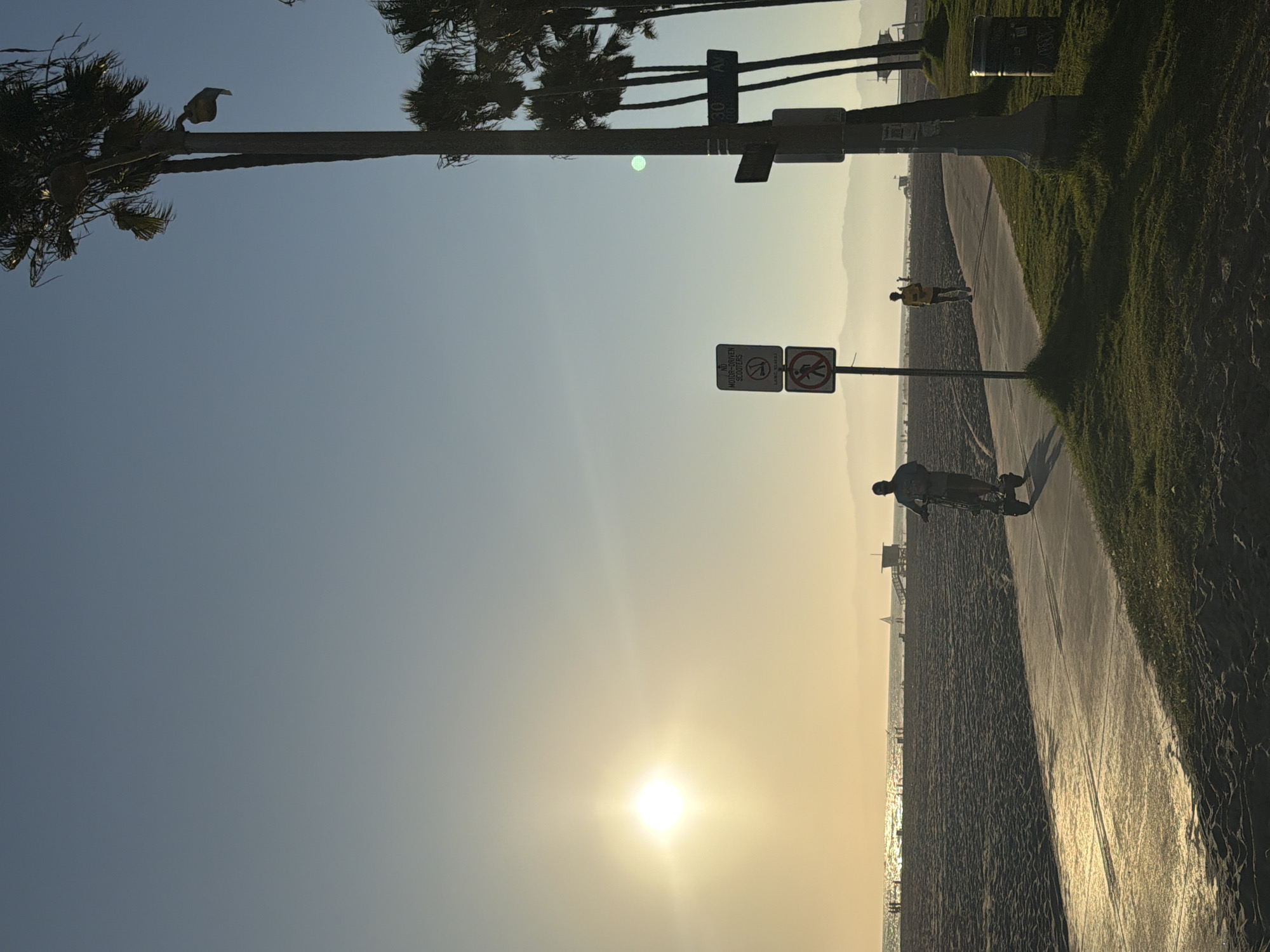 The image captures a scene at Venice Beach, Los Angeles, California, during a sunset. The sun, a bright orb with visible lens flare, is low in the sky on the left side of the frame, casting a warm glow over the beach and ocean. The beach is wide and sandy, with a few distant figures and a lifeguard tower visible. The ocean stretches to the horizon, with gentle waves and a sailboat in the distance.
In the foreground, a paved path runs along the beach. On the left side of the path, a person is riding an electric scooter. Further down the path, another person is running. Two signs are posted near the path: one reads "NO MOTOR-DRIVEN SCOOTERS" with a crossed-out scooter icon, and the other shows a crossed-out pedestrian icon.
Palm trees line the right side of the path, their silhouettes stark against the clear, pale blue sky. A lamppost with street signs, including "30 AVE," is also present. A trash can with graffiti is situated near the lamppost. The ground on the right side of the path is covered in green grass. The overall atmosphere is serene and recreational, highlighting a typical beachside activity at dusk.