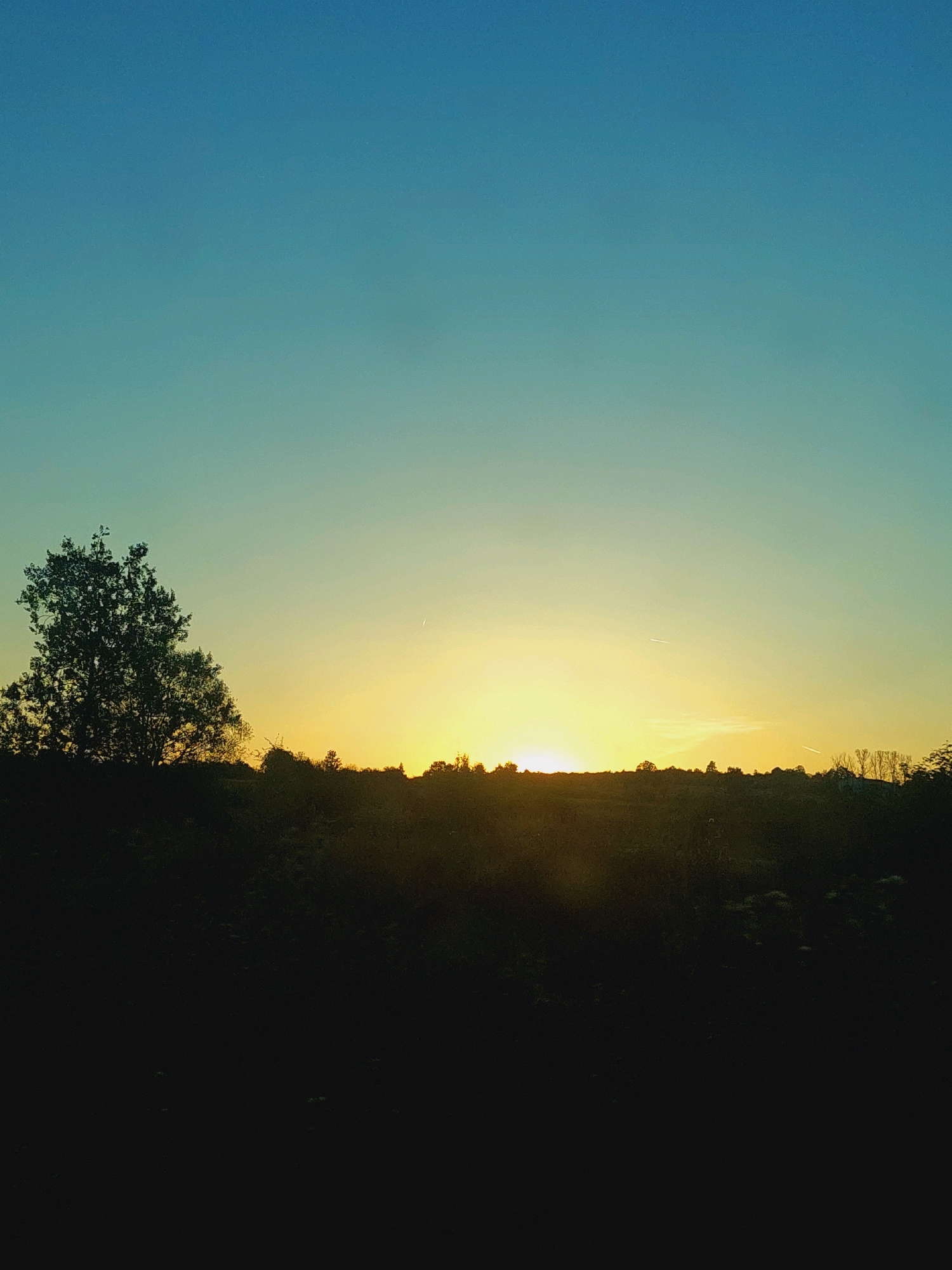 The image captures a silhouetted landscape at dusk, likely in or around the village of Maisko, Bulgaria. The sky transitions from a deep blue at the top to a bright yellow and orange near the horizon, indicating the setting sun. A large, leafy tree stands prominently on the left side of the frame, its silhouette dark against the vibrant sky. A line of trees and undulating terrain forms a dark band across the middle ground, separating the sky from the foreground, which is almost entirely black. There are faint contrails visible in the sky, suggesting the presence of aircraft. No people or animals are discernible in the image. The overall impression is one of peaceful natural scenery at the end of the day.