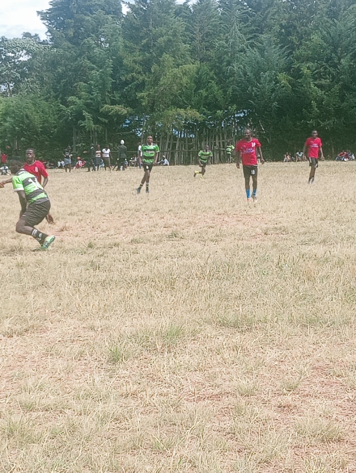 This image depicts an outdoor sports event in Lwandeti ward, Kenya. The scene features multiple individuals on a dry, sparsely grassed field. In the immediate foreground, a male participant wearing a green and black striped jersey, dark shorts, and green-accented athletic shoes is positioned low to the ground, moving from right to left. Behind him and slightly to the left, another male in a red jersey is partially visible.
In the mid-ground, approximately six other male participants are visible. Two individuals in red jerseys are walking or jogging towards the viewer's right; one wears the number "10" on his shorts. Two other individuals in green and black striped jerseys are positioned further left and slightly behind the red-jerseyed players, one appearing to be in mid-air or mid-stride, and the other running further back. Additional individuals are scattered across the mid-ground, engaged in the activity.
The background consists of a dense line of tall green trees, suggesting a boundary or wooded area. Below the treeline, a group of spectators or additional personnel are visible. A rudimentary wooden fence or barrier runs horizontally across a portion of the background, separating the field from the treeline. The lighting indicates daytime conditions.