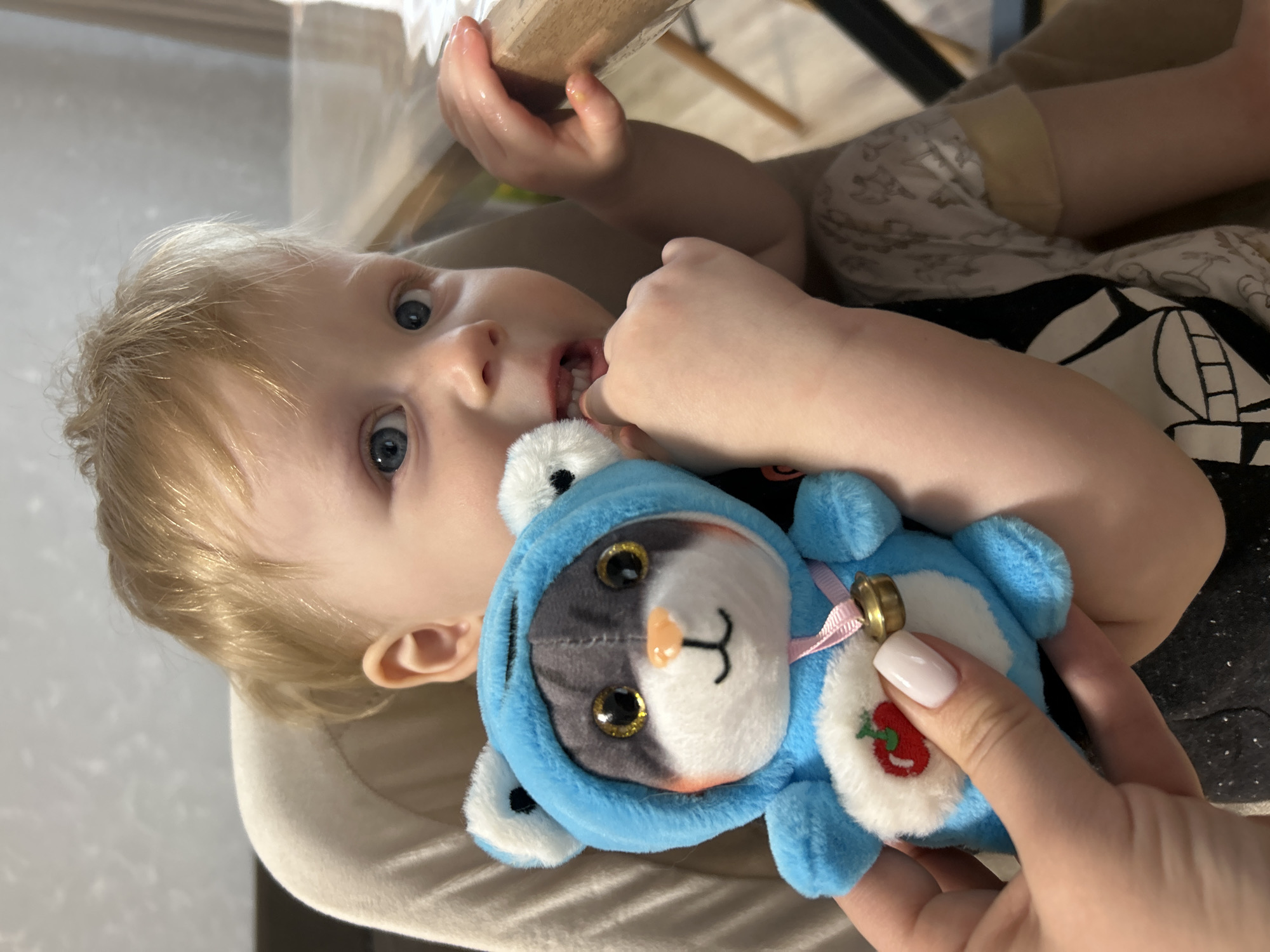 A young baby with blonde hair and striking blue eyes is the central subject of this indoor portrait, taken in Chaikovsky, Russia. The baby looks directly at the camera with an open-mouthed, curious expression, revealing several small teeth. Their left hand is near their mouth, possibly indicating teething, while their right hand loosely grasps a plush toy.
The plush toy is a gray and white cat wearing a blue hooded costume. The toy has large, golden-yellow eyes, a pink nose, and a small pink ribbon with a gold bell around its neck. A white patch with a red cherry embroidered on it is visible on the toy's chest. An adult hand, featuring light-colored manicured nails, is also holding the plush toy from below, supporting it.
The baby is dressed in a dark top with white patterns and light-colored patterned pants, and appears to be seated in a beige infant seat or high chair. Part of a light wooden structure is visible near the baby's raised left hand. The background is softly blurred, showing light-colored indoor walls or furniture. The lighting suggests it is daytime, and the overall mood is tender and engaging. There is no visible text in the image.