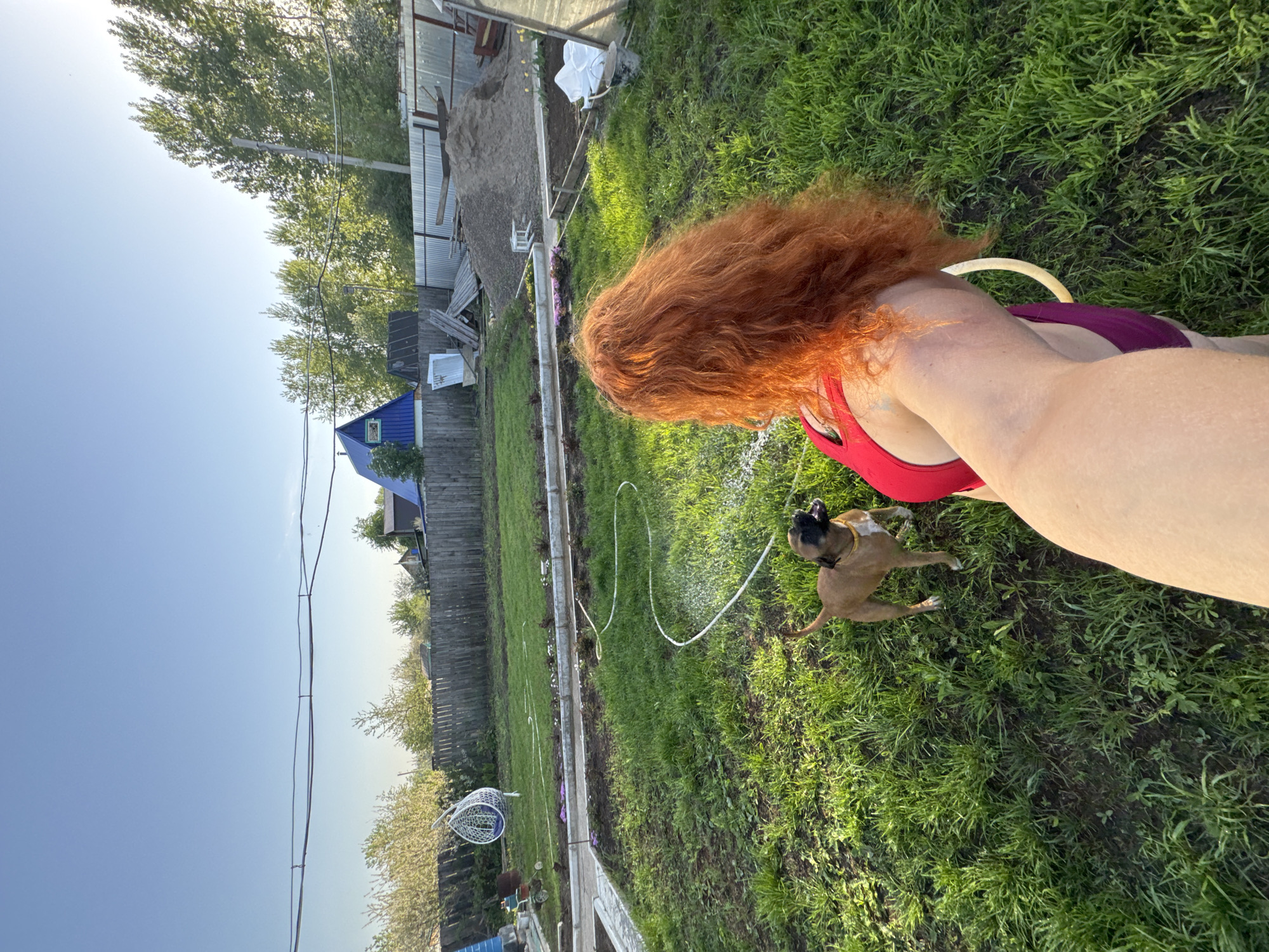 A red-haired woman in a red swimsuit holds a garden hose, spraying water towards a small brown Boxer dog that is standing on a green lawn. The location appears to be a backyard in Chaikovsky, Russia, judging by the typical rural Russian houses and garden structures. A pile of sand or dirt sits near a galvanized metal structure. A blue house can be seen in the background behind a wooden fence. Overhead power lines and a section of clear blue sky are also visible.
