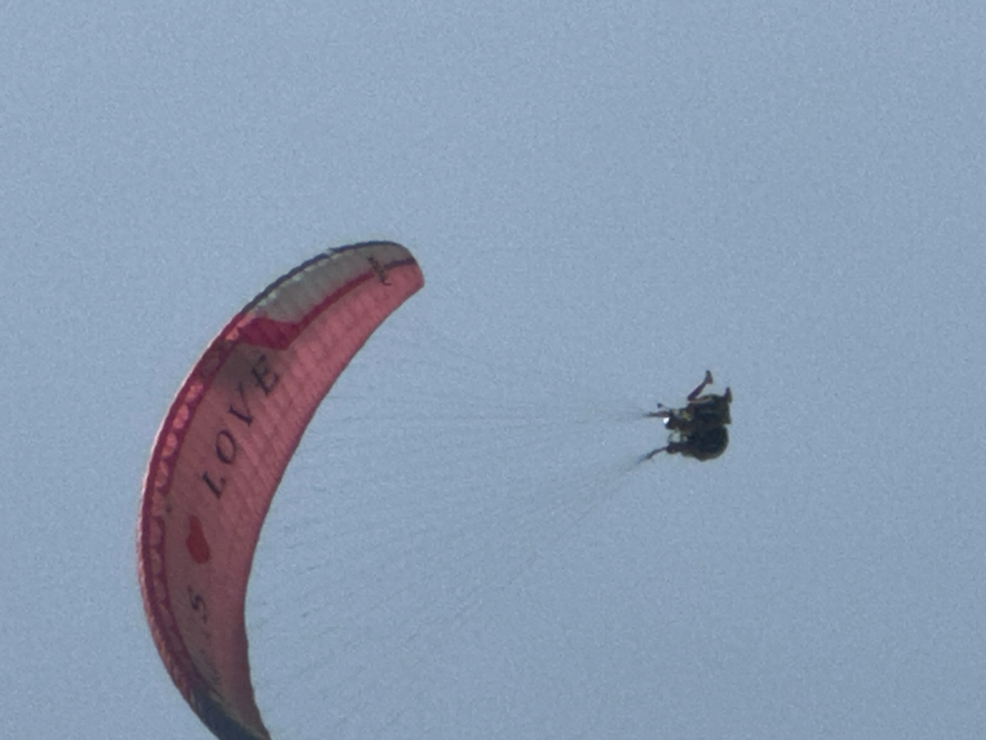 The image captures a paraglider in flight against a clear blue sky. The paraglider is predominantly pink with a grey stripe and has the word "LOVE" printed in black lettering with a red heart symbol. Below the paraglider, two people are seated in a harness, appearing to be enjoying the aerial experience. The paraglider is positioned in the upper portion of the frame, while the passengers are located in the lower-middle section. The scene is likely set over or near Budva, Montenegro, given the context.