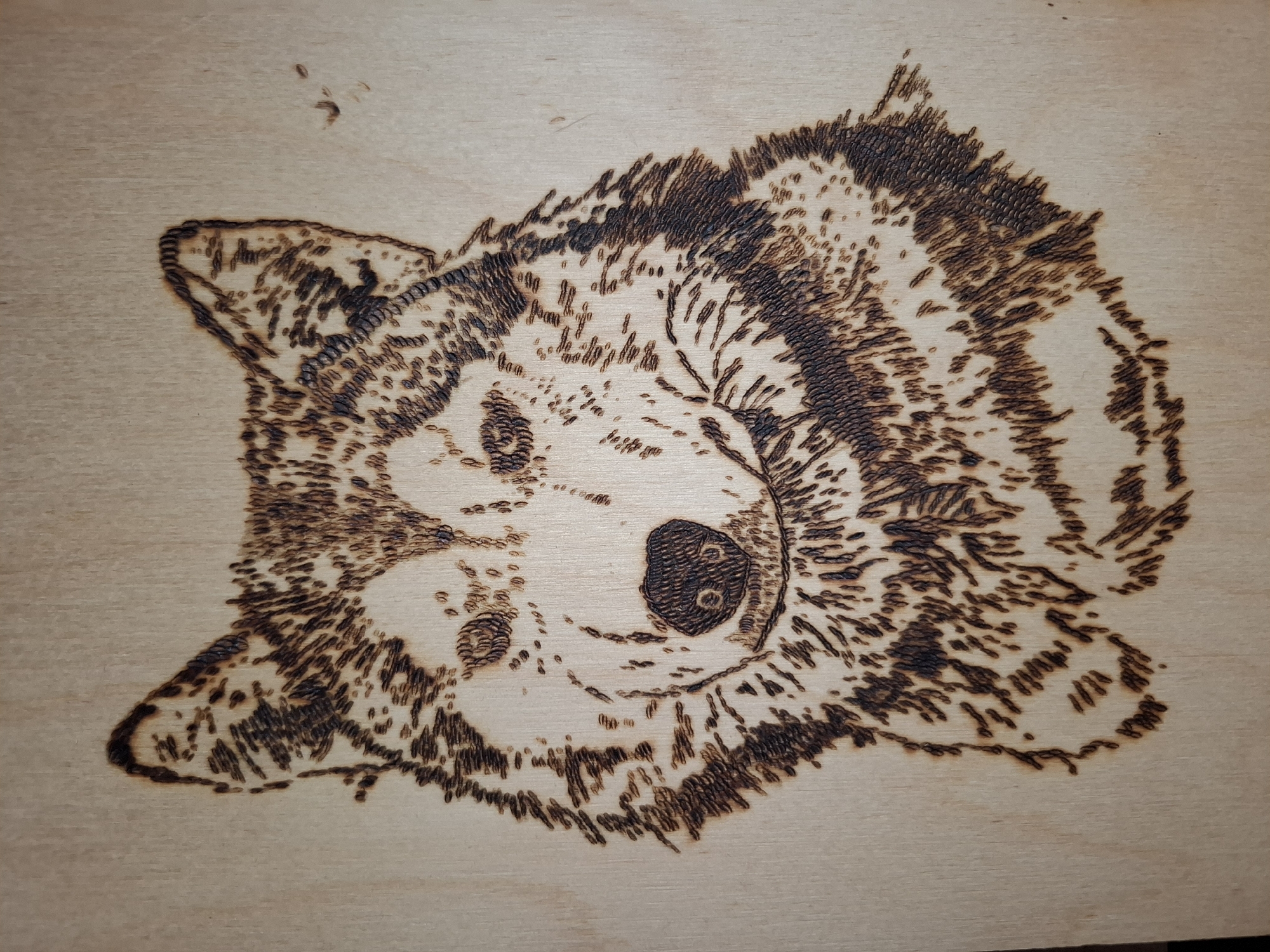 The image shows a wood burning artwork of a dog's face, positioned at an angle. The dog has a prominent nose, detailed fur texture created by varying degrees of burning, and visible eyes and ears. The background is a plain wooden surface. The location of Амзя, Russia, is irrelevant to the image's content and provides no relevant context.