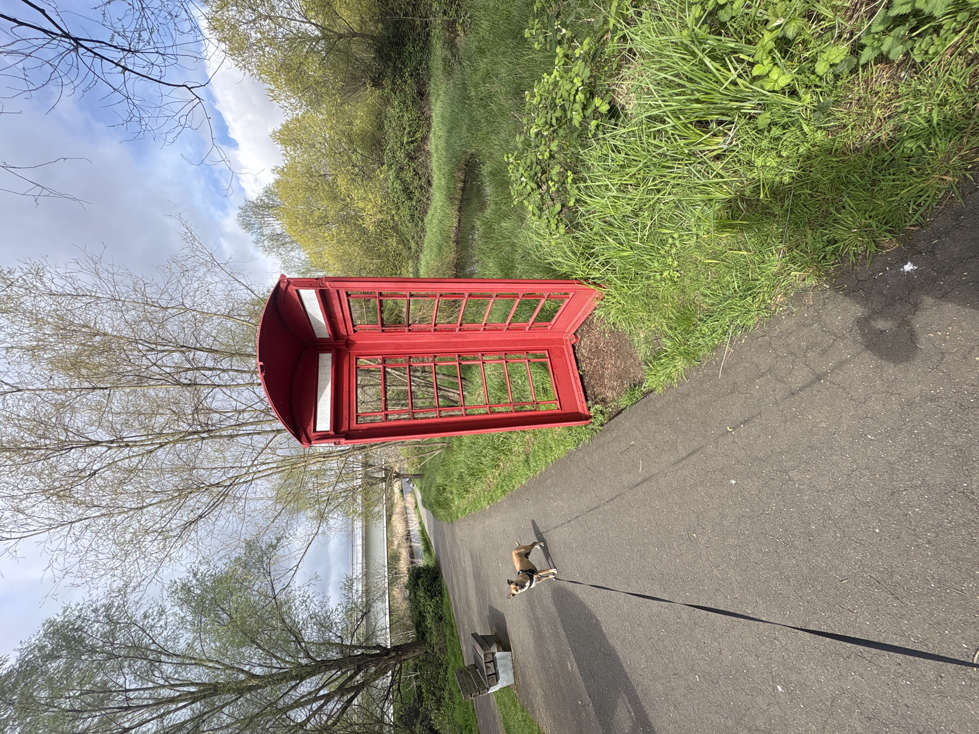 A red British telephone box stands sideways on the edge of a paved path. The background includes green foliage, trees, and a partially visible body of water. A small dog stands on the path, tethered to a leash. The sky is visible above the trees, with clouds. The photograph appears to be taken in an outdoor, possibly park, setting. The telephone box and the dog’s presence suggest it could be somewhere in London, but it is impossible to be certain.