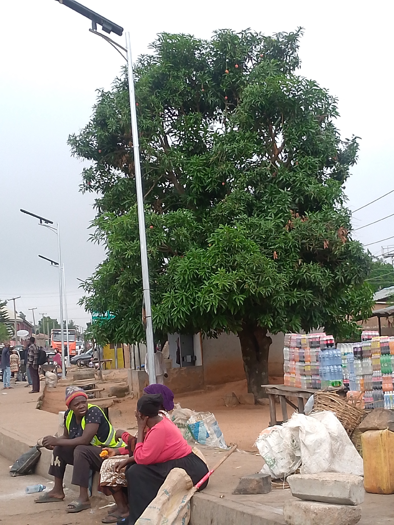 The image shows a street scene in Bukuru, Nigeria. Two women are sitting on a concrete curb alongside the road. One is wearing a yellow vest, while the other is in a pink top and a purple head covering. Several sacks and a yellow jerrycan are scattered near them. Behind them, there's a stack of packaged drinks and a large tree with red fruits. A modern street light stands next to the tree. In the background, people are walking along the street and a truck is visible in the distance.