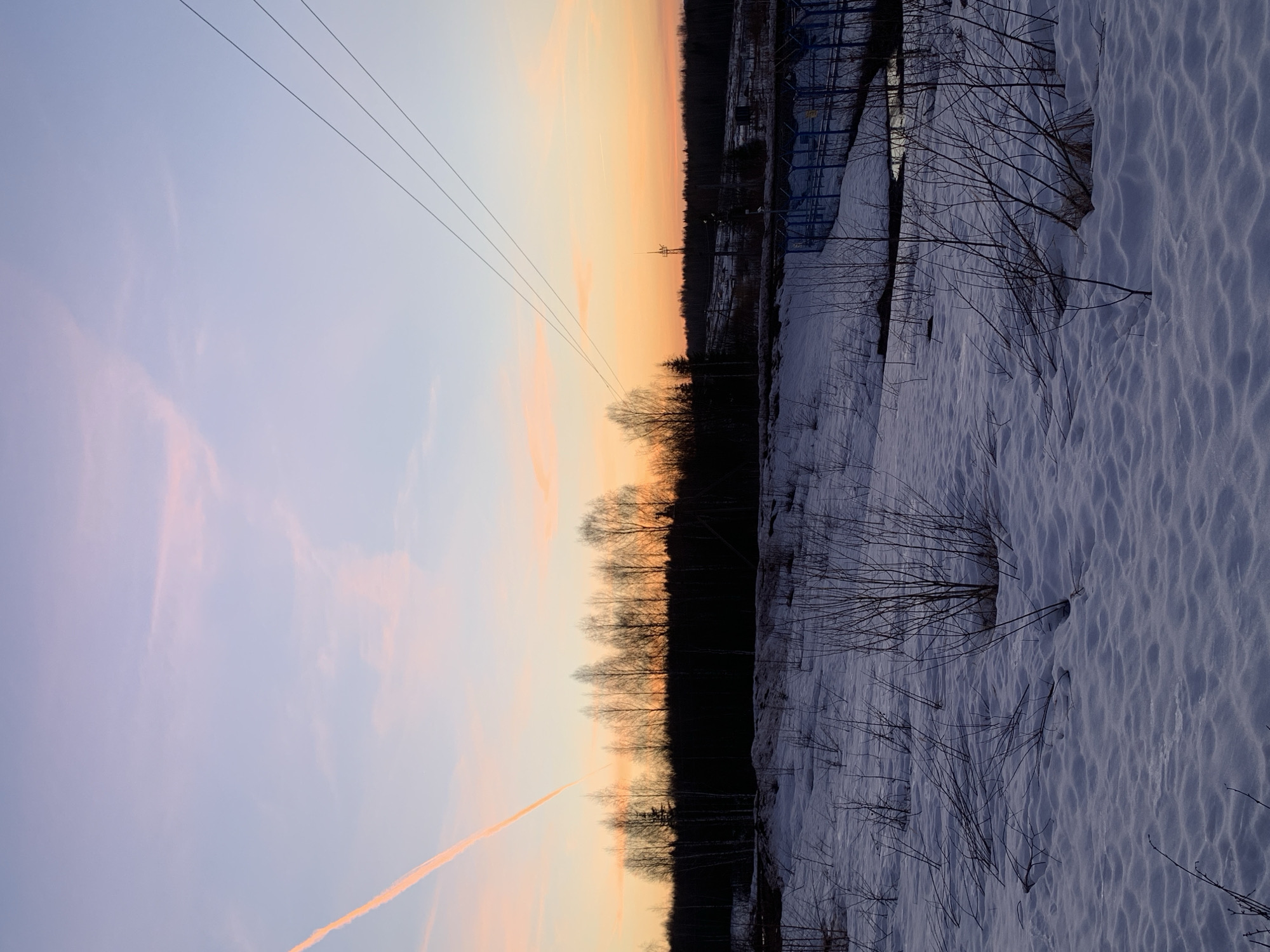 The image depicts a winter scene in Nizhnyaya Iskil'da, Russia, during either sunrise or sunset. A snow-covered field dominates the right side of the frame, with bare branches of shrubs and small trees visible above the snow. A dark line of trees forms a vertical barrier, separating the snowy field from the colorful sky on the left. The sky features hues of purple, pink, and orange, suggesting either dawn or dusk. Power lines stretch across the upper portion of the sky. A vapor trail from an airplane cuts across the sky at an angle. Further back, structures and more trees are visible.
