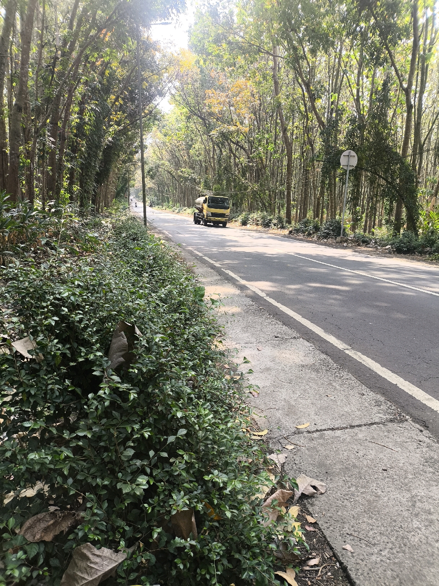 An asphalt road lined with trees runs through Senduro, Indonesia. The trees on the left of the road are dense, with their branches forming a canopy overhead, creating dappled shade on the pavement. On the right side of the road, the trees are sparser. A yellow truck is visible on the road, moving away from the camera. A paved sidewalk runs alongside the trees on the left. Bushes and fallen leaves are present along the edge of the sidewalk. The sky is bright, suggesting it is daytime.