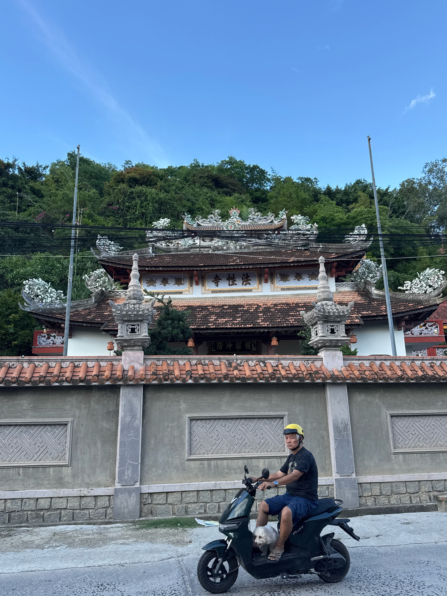 A man wearing a yellow helmet and a dark t-shirt with blue shorts is seated on a dark green electric scooter. He is accompanied by a small white dog in front of him on the scooter. They are parked on a paved road in front of a grey concrete wall topped with a tiled roof. Behind the wall is a traditional Vietnamese temple with ornate architecture, including intricate roof designs and decorative elements. The temple is situated on a lush green hillside, with a clear blue sky overhead. The scene appears to be in a scenic and culturally significant area of Nha Trang, Vietnam, likely near a Buddhist temple complex.