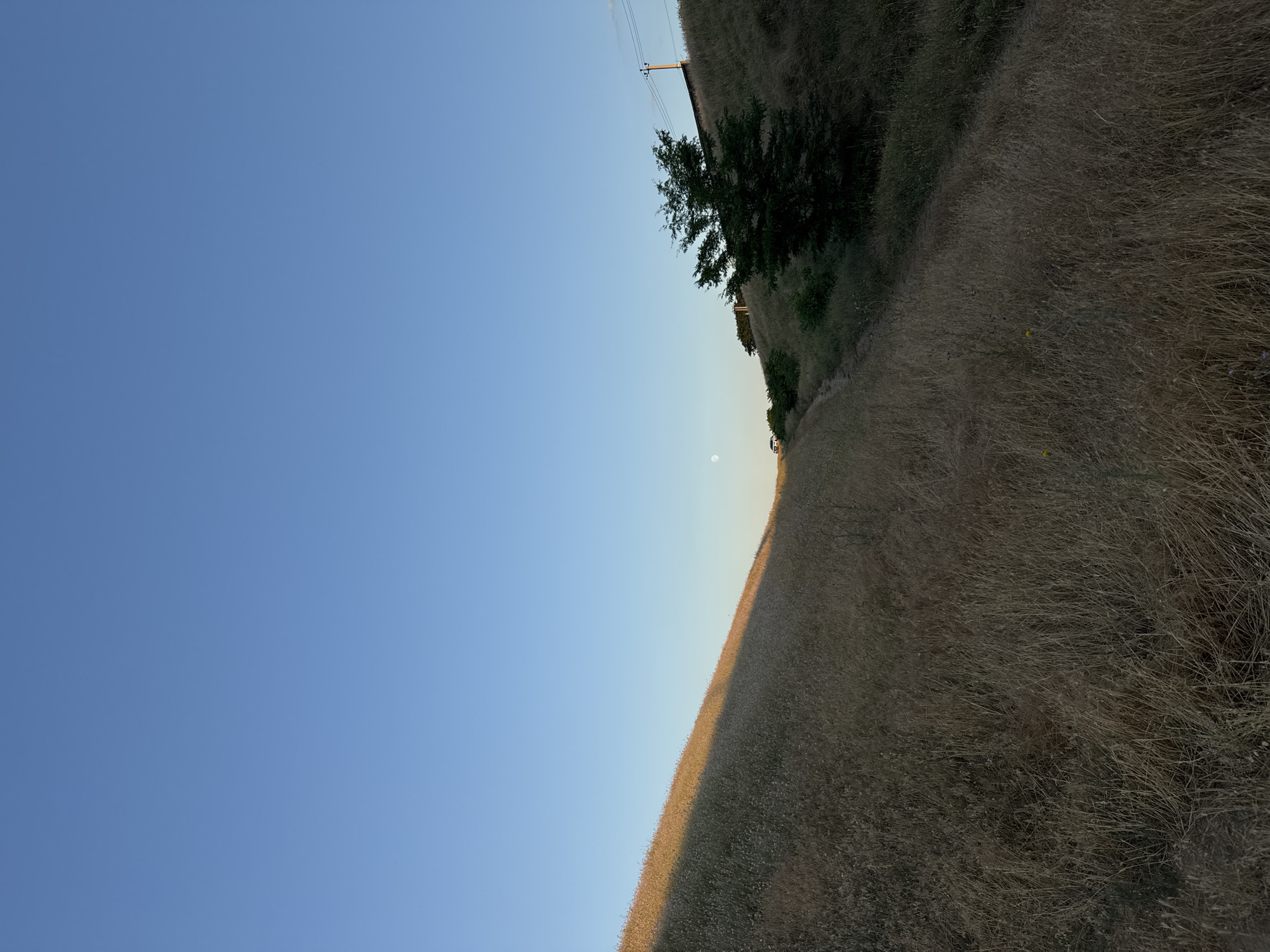 The image depicts a rural landscape under a clear blue sky, likely in Mizhlymanske, Ukraine. A dry, grassy hill slopes upwards from the left foreground towards the upper right. The left side of the hill is illuminated by a low angle of sunlight, creating a distinct shadow line across it. A narrow dirt path winds its way up the hill from the lower left. In the mid-ground, a small white vehicle is visible on the path. Further up the hill on the right, a dark green tree stands out against the dry vegetation. Beyond the tree, a raised embankment or wall is visible, with what appears to be a utility pole and wires running along its crest. A faint moon is visible in the sky to the left of the vehicle. The overall environment is arid, with dominant tones of brown and yellow from the dry grasses and a clear, unsaturated blue sky.