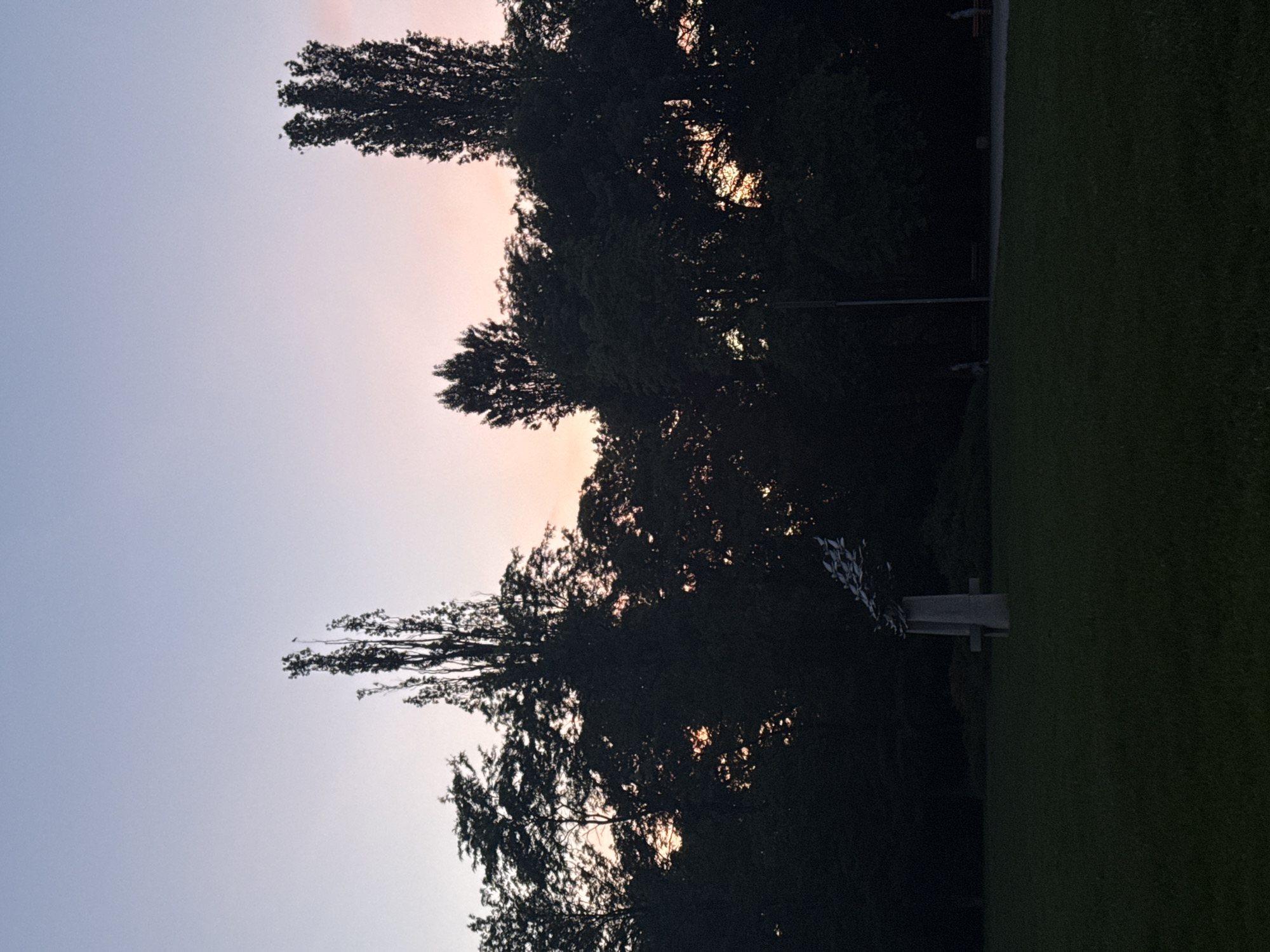 The image depicts a park setting in Sofia, Bulgaria, at dusk. The sky shows a gradient from blue to pinkish hues, indicating either sunrise or sunset. Silhouetted trees line the horizon, obscuring some of the sky. To the right, there is a grassy area that transitions into darker shaded regions, likely due to denser foliage. A structure that appears to be a bench or monument is partially visible in the shaded area.