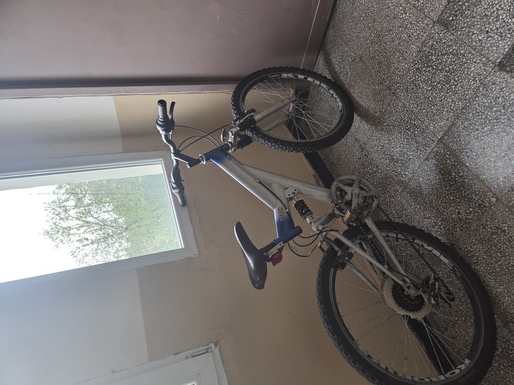 The media file captures a silver and blue full-suspension mountain bicycle positioned indoors, likely in a hallway or common area. The image itself is rotated 90 degrees clockwise from its natural orientation.
**Subjects:** The primary subject is a bicycle, featuring a silver frame with blue accents on the front suspension and saddle post. It has black handlebars, a black saddle, and knobby tires typical of a mountain bike.
**Objects:** The main objects are the bicycle, a window providing an outdoor view, a wall, and a floor.
**Scene:** The bicycle is parked or stored against a wall next to a window. The wall features two distinct paint colors: a lighter beige or off-white on the lower section and a darker, brownish-purple hue on the upper section, separated by a horizontal trim. The floor is made of a dark, speckled material, resembling terrazzo or concrete. Through the window, lush green foliage, likely trees, is visible under bright daylight.
**Setting:** The setting is an indoor space, possibly a common area or corridor within a building, in Pleven, Bulgaria, characterized by functional, durable materials like the speckled floor and painted walls.
**Activity or Event:** No activity or event involving people is taking place; the bicycle is stationary, suggesting it is parked or stored.
**Notable details:** The scene is well-lit by natural light entering through the window, indicating it is daytime. The bright outdoor view suggests clear or sunny weather. The specific construction materials like the terrazzo floor and two-tone wall paint might be characteristic of the region.
**Visible text:**
* On the bicycle tires: "36 spokes" and "XTREME".
* On the bicycle frame: "TRECKON".
* On the bicycle wheel rim: "ROBOT" and "ALU" (likely aluminum).