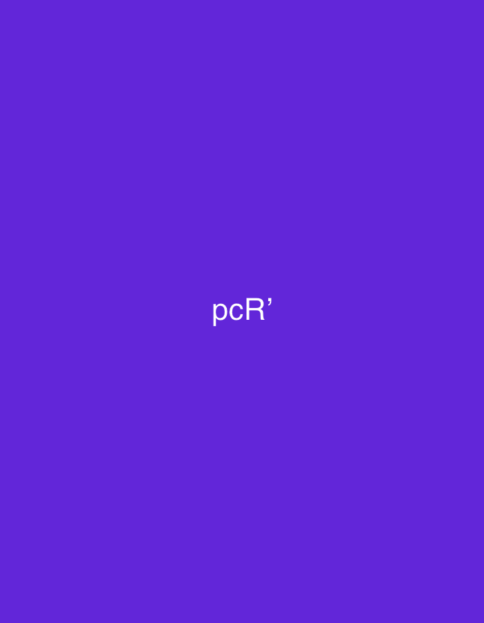 The image is a digital rendering featuring the text "pcR'" in white, centered against a solid, vibrant purple background. There is no discernible connection to Casablanca, Morocco, or any specific real-world location. The image is entirely abstract and text-based.