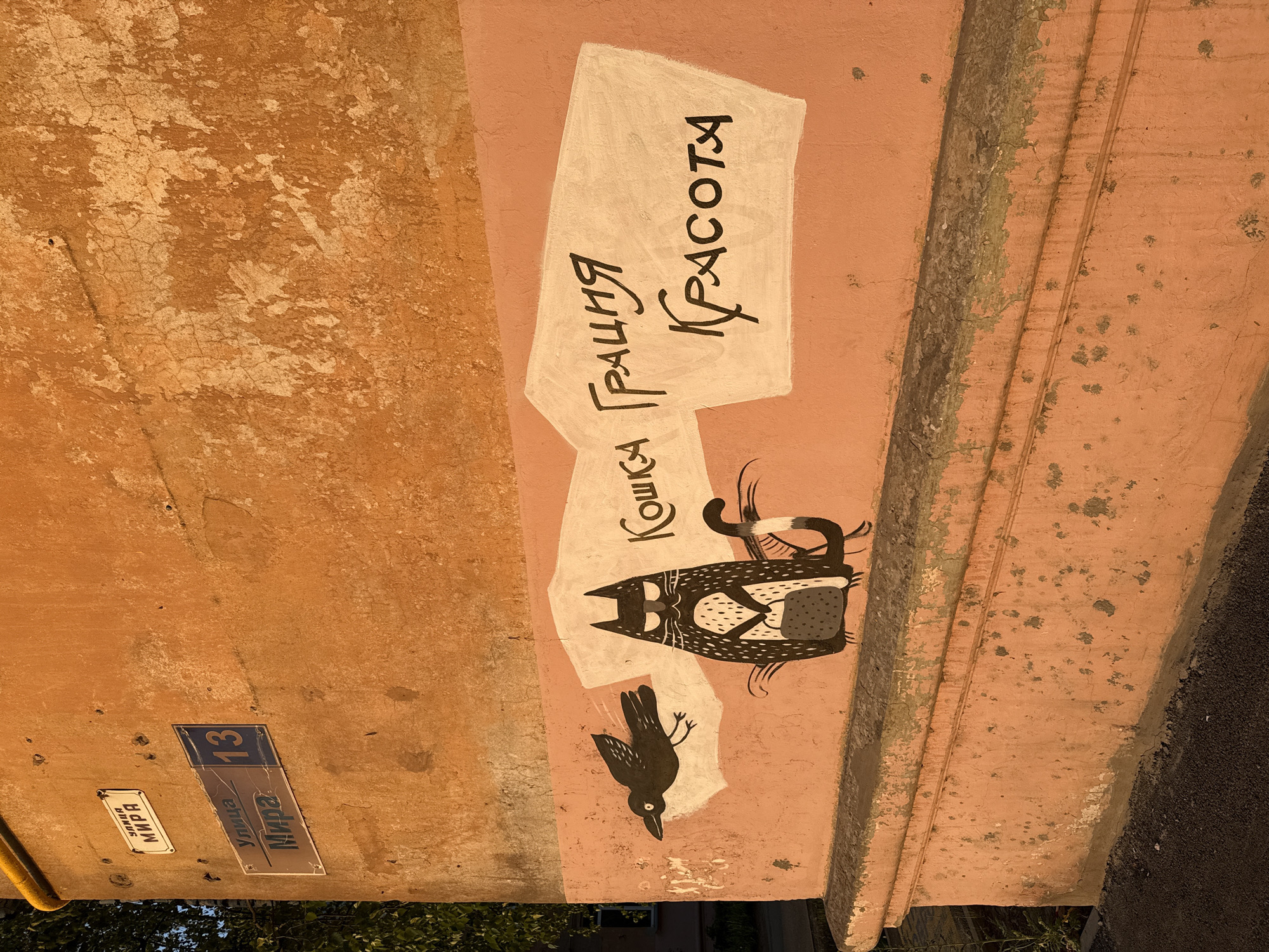 The image shows a section of a pinkish-orange painted wall in Votkinsk, Russia. There's a mural painted on the wall depicting a black cat with a dotted body, facing left, with a small figure inside its belly, and a black crow facing down towards the bottom left of the cat. Above the cat, there is a white rectangular shape on which the Russian words "Кошка Грация Красота" are written vertically. Below the mural, there's a blue sign indicating the address as "Улица Мира 13". Next to it, there's another smaller sign with the words "Улица Мира" on it. The wall shows signs of wear and tear, with cracks and peeling paint. Trees are visible at the bottom of the image. The photo appears to be taken during the day under natural light.