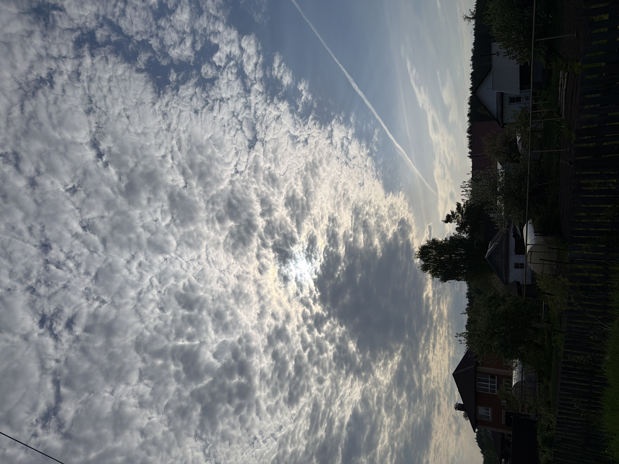 The image shows a daytime scene, likely in a suburban or rural area near Chaikovsky, Russia. The sky dominates the view, filled with a dense layer of altocumulus clouds, with the sun visible through a thinner patch. A contrail from an aircraft cuts across the upper part of the sky. Below the clouds, trees and the roofs of several houses are visible along the edge of the image. A wooden fence is also discernible in the foreground. The overall impression is of a partially overcast day with scattered sunshine.