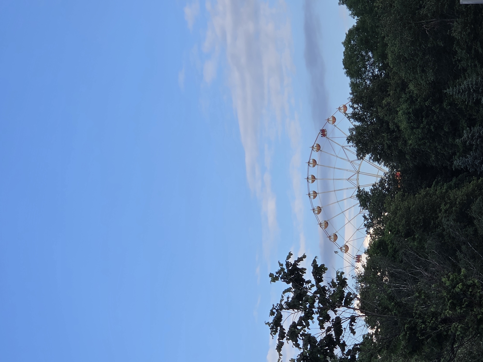 The image captures a daytime scene at an amusement park in Minsk, Belarus. A large Ferris wheel, with several gondolas visible, dominates the upper middle portion of the frame. The Ferris wheel is white and appears to be made of metal. Some gondolas are colored yellow and orange. Through the Ferris wheel, a large expanse of light blue sky with scattered white and gray clouds is visible. In the foreground, a dense cluster of dark green trees forms a natural border across the bottom and left side of the image. The foliage is thick, with some branches and leaves clearly discernible. Several gondolas on the Ferris wheel contain passengers, indicated by the presence of small figures. The overall impression is a view of an amusement park ride set against a backdrop of sky and foliage on what appears to be a pleasant day.