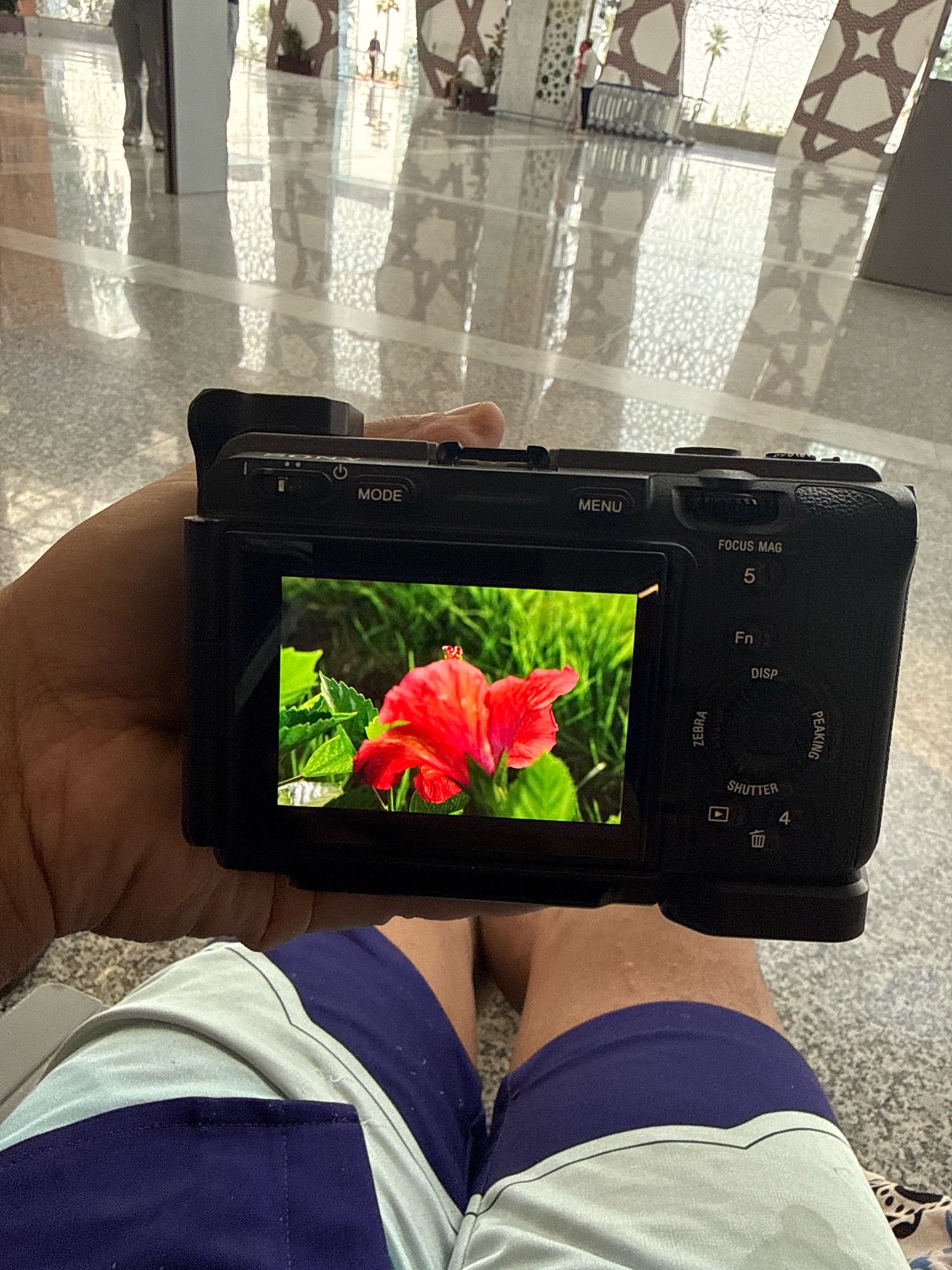In Ouled Tayeb, Morocco, a close-up shot captures a person's hand holding a black digital camera. The camera's LCD screen displays a vibrant red hibiscus flower with a small red insect on its petals, set against a backdrop of lush green foliage. The camera buttons, including "MODE," "MENU," "FOCUS MAG," "Fn," "DISP," "ZEBRA," "PEAKING," and "SHUTTER," are visible on the camera body. The background shows a brightly lit, modern interior with a polished floor reflecting geometric patterns on the ceiling and large windows or architectural features with intricate designs. In the distance, out of focus, figures can be seen walking. The person is wearing blue and light-colored shorts.