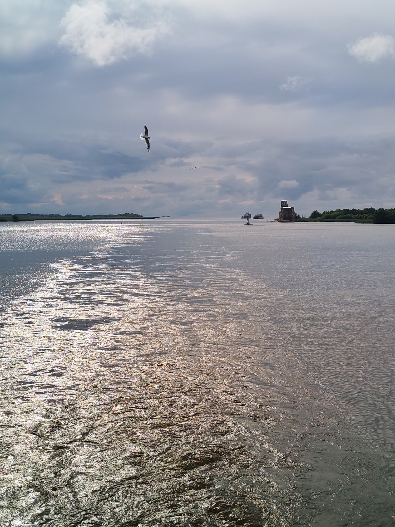 A wide-angle, eye-level shot captures a body of water with a choppy surface reflecting the overcast sky. In the distance, a low-lying island covered in green vegetation is visible on the horizon to the left, with a man-made structure resembling a tower built on a rocky foundation situated on another island or structure to the right. Several large ships are present on the water. A solitary bird is in flight in the upper left quadrant of the image, with smaller birds also visible. The lighting suggests it is daytime, though the sky is heavily clouded. The scene is set in or near Kargulino, Russia.