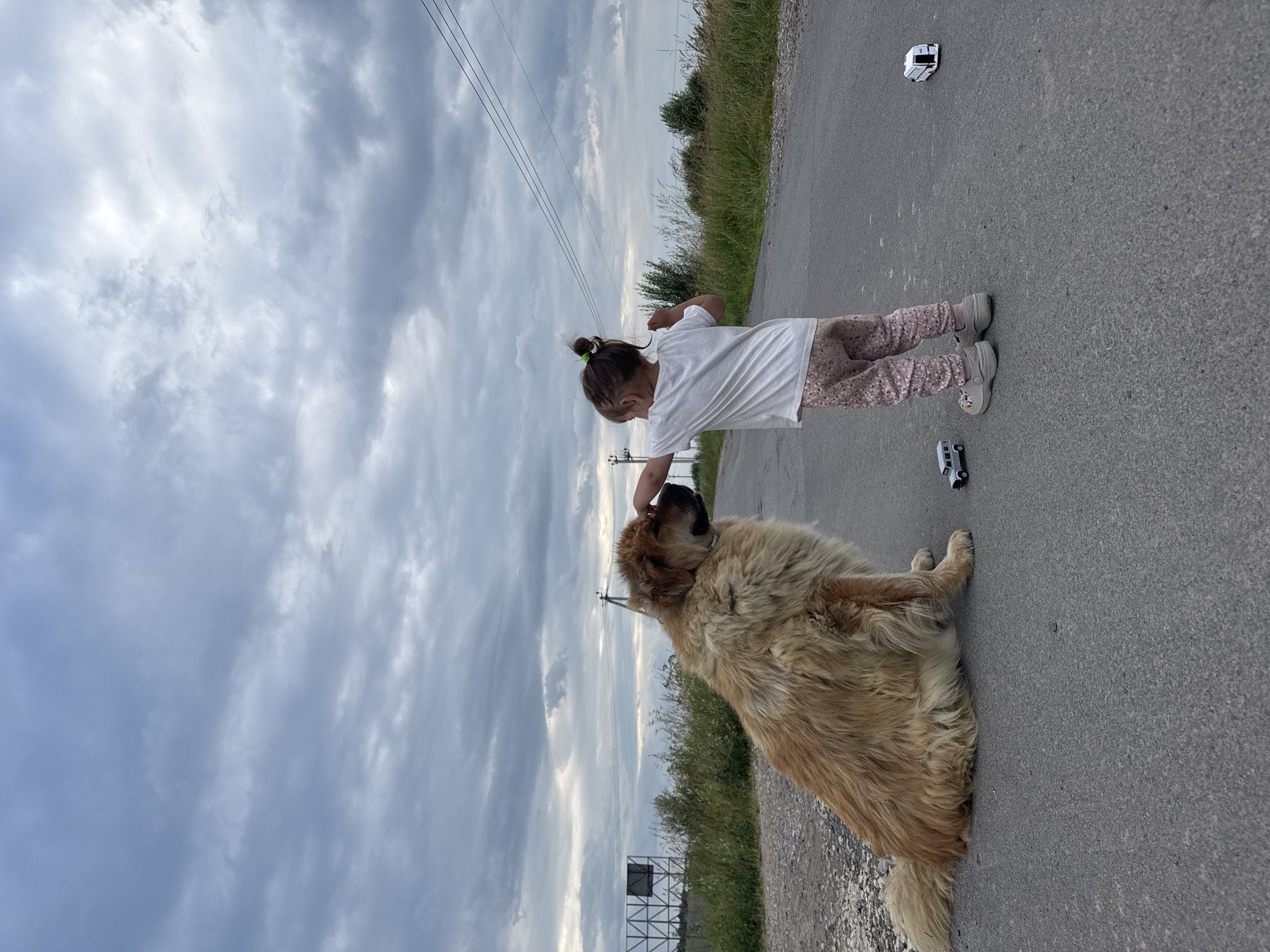 In Kempelevo, Russia, a young child with a light brown topknot hairstyle, wearing a white t-shirt and floral-patterned pants, interacts with a large, shaggy, light brown dog. The child's right hand is extended towards the dog's head, appearing to touch its nose. The dog is seated on an asphalt road, facing the child. To the left of the dog, near its front paw, is a small, grey toy vehicle. To the right of the child, further down the road, is a small, white toy vehicle. The background consists of a cloudy sky, a grassy embankment, and power lines. The scene takes place on a paved road with a gravel shoulder on the left.