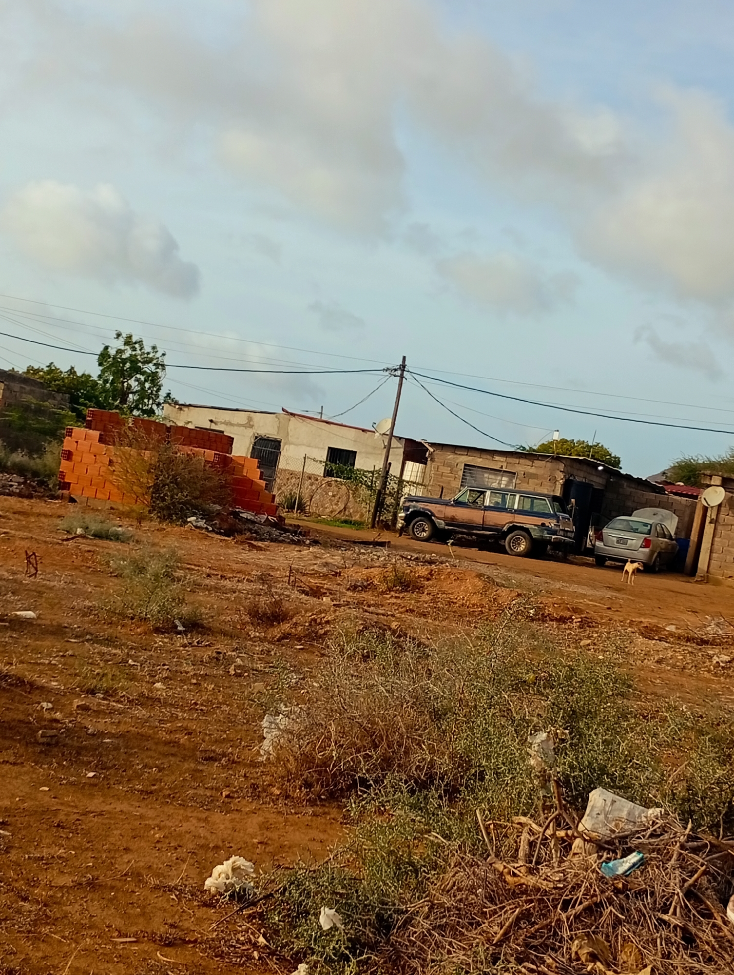 The image depicts an outdoor scene in Altagracia, Venezuela, characterized by a dusty, arid environment with scattered vegetation and debris. In the mid-ground, a pile of orange bricks is stacked on a dirt mound. Behind the bricks, a low-rise building with a white facade and a corrugated metal roof is visible, along with another building constructed of concrete blocks.
Two vehicles are parked in front of the concrete block building. The larger vehicle is a dark blue station wagon with a wood-grain exterior, appearing to be an older model. Adjacent to it is a silver sedan with its hood open. A small, light-brown dog stands on the dirt in front of the silver car.
The ground is covered in reddish-brown soil and sparse, dry, green and brown bushes. Piles of branches and what appears to be white and blue plastic debris are scattered in the foreground. Overhead, the sky is partly cloudy with large, soft, greyish-white clouds against a pale blue background. Electrical wires and a utility pole are present in the upper portion of the image.