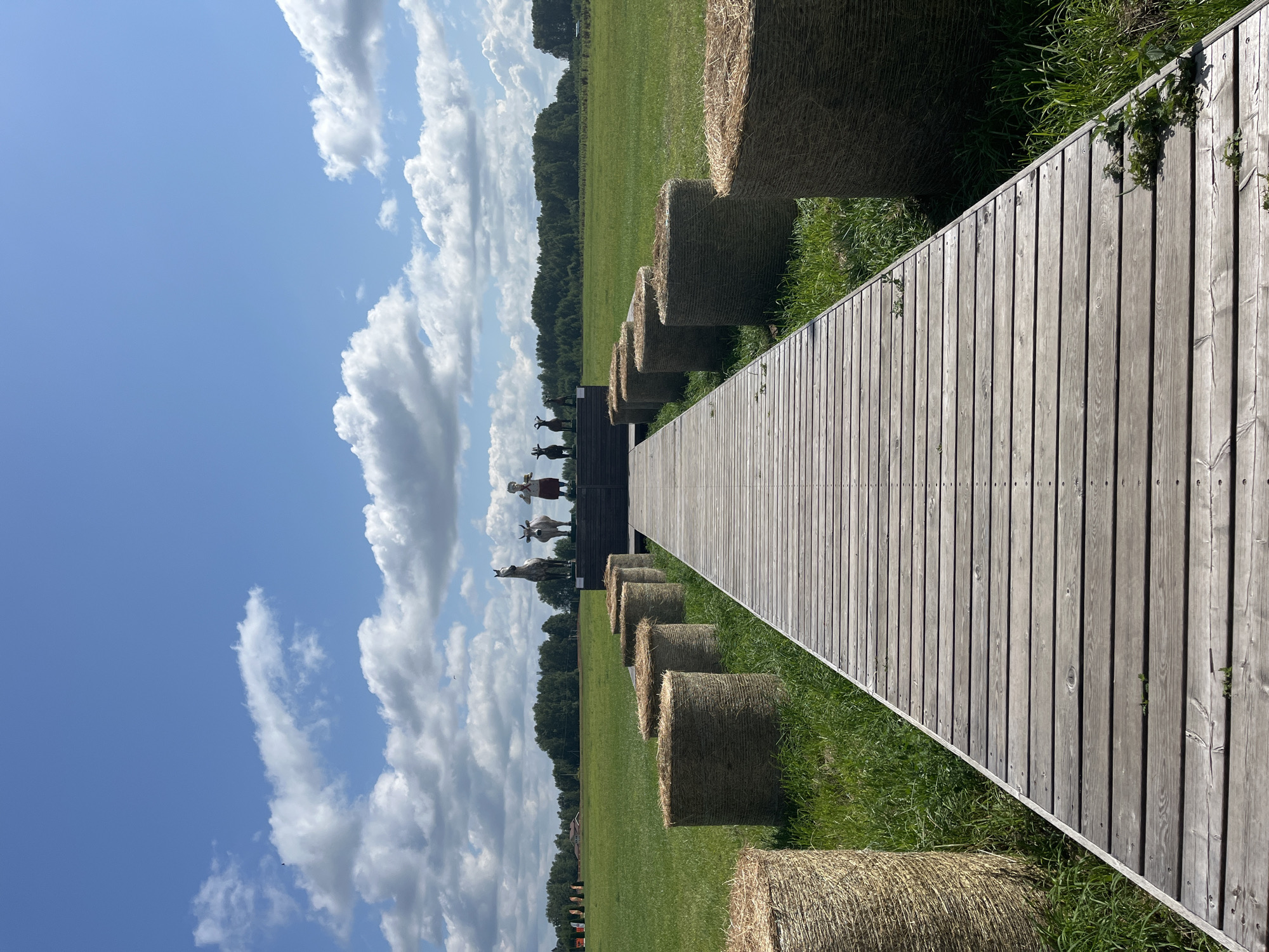 This is a medium-angle, eye-level, outdoor, daytime, full shot of a wooden boardwalk leading towards a raised platform in a grassy field. On the platform, there are three statues: a horse, a cow, and a person in an apron and chef's hat. There are also two smaller statues of goats. To the left and right of the boardwalk, there are rows of large, round hay bales. The field is a bright green, and the sky is a clear blue with scattered white clouds. Trees line the horizon in the distance. The scene is located in the city of Akhlebaikha (Kovriginskii S/S), Russia.